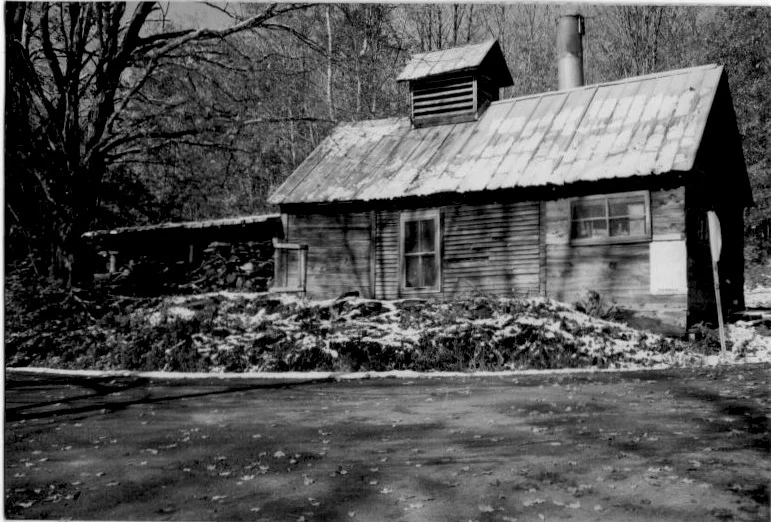 Sugarshack under Jesse Coda.jpeg