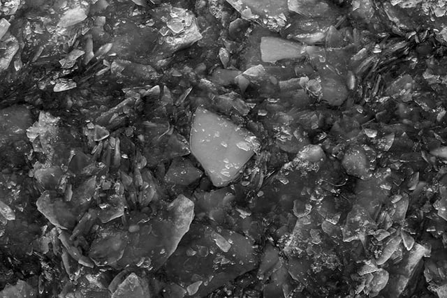 Last Days of Ice {Motion}