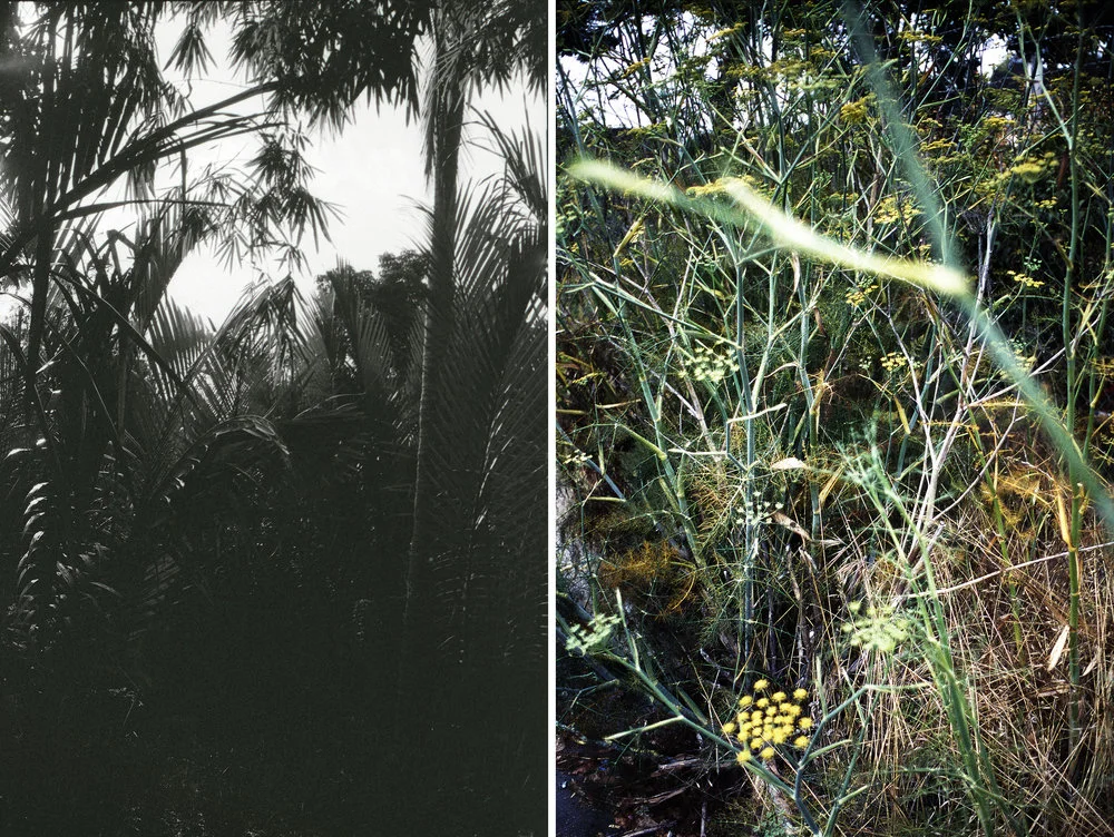 New_Diptych_2017.jpg