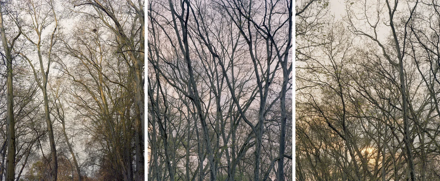 Pushkinallee_Triptych-1.jpg
