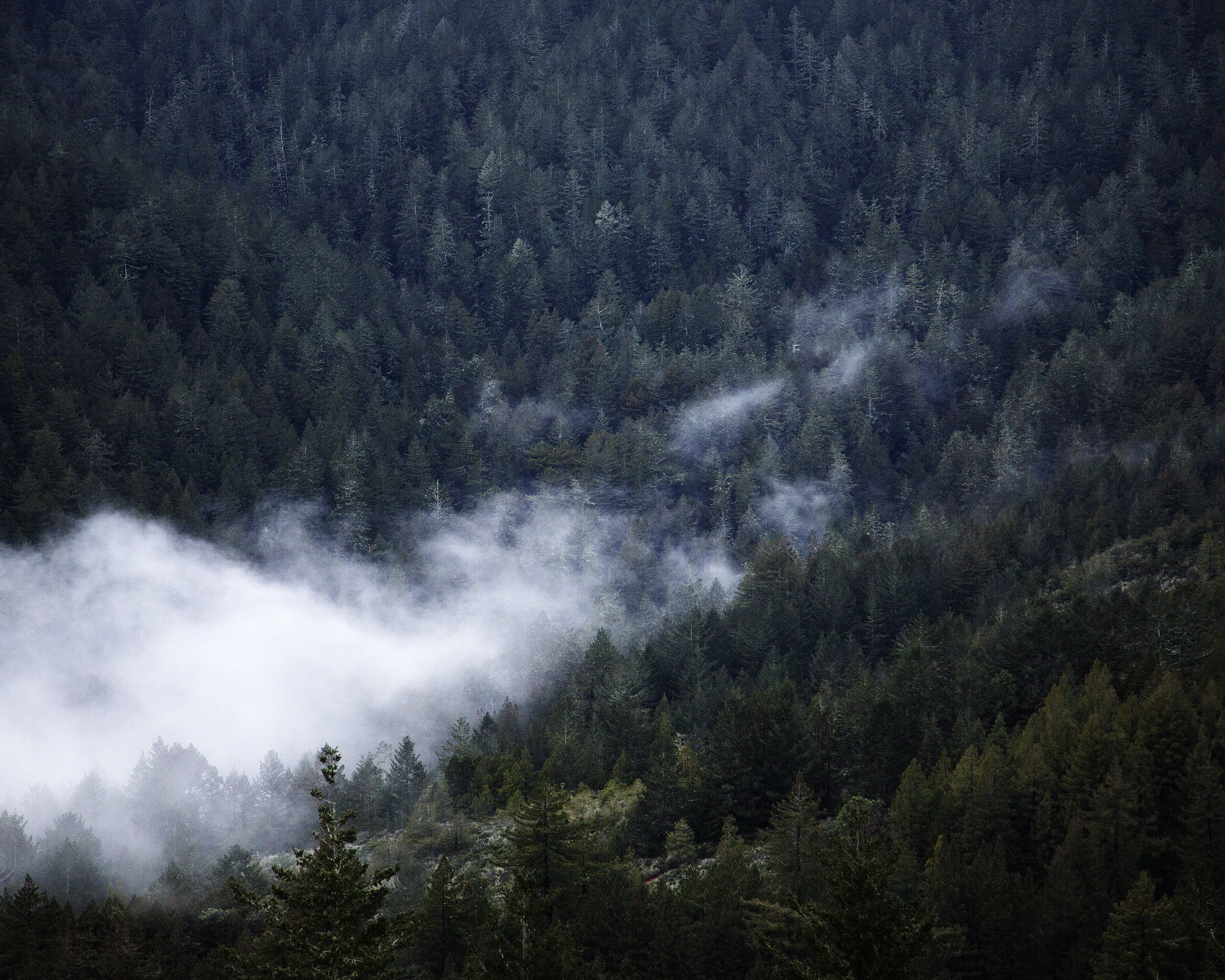 IMG_1655crop.jpg