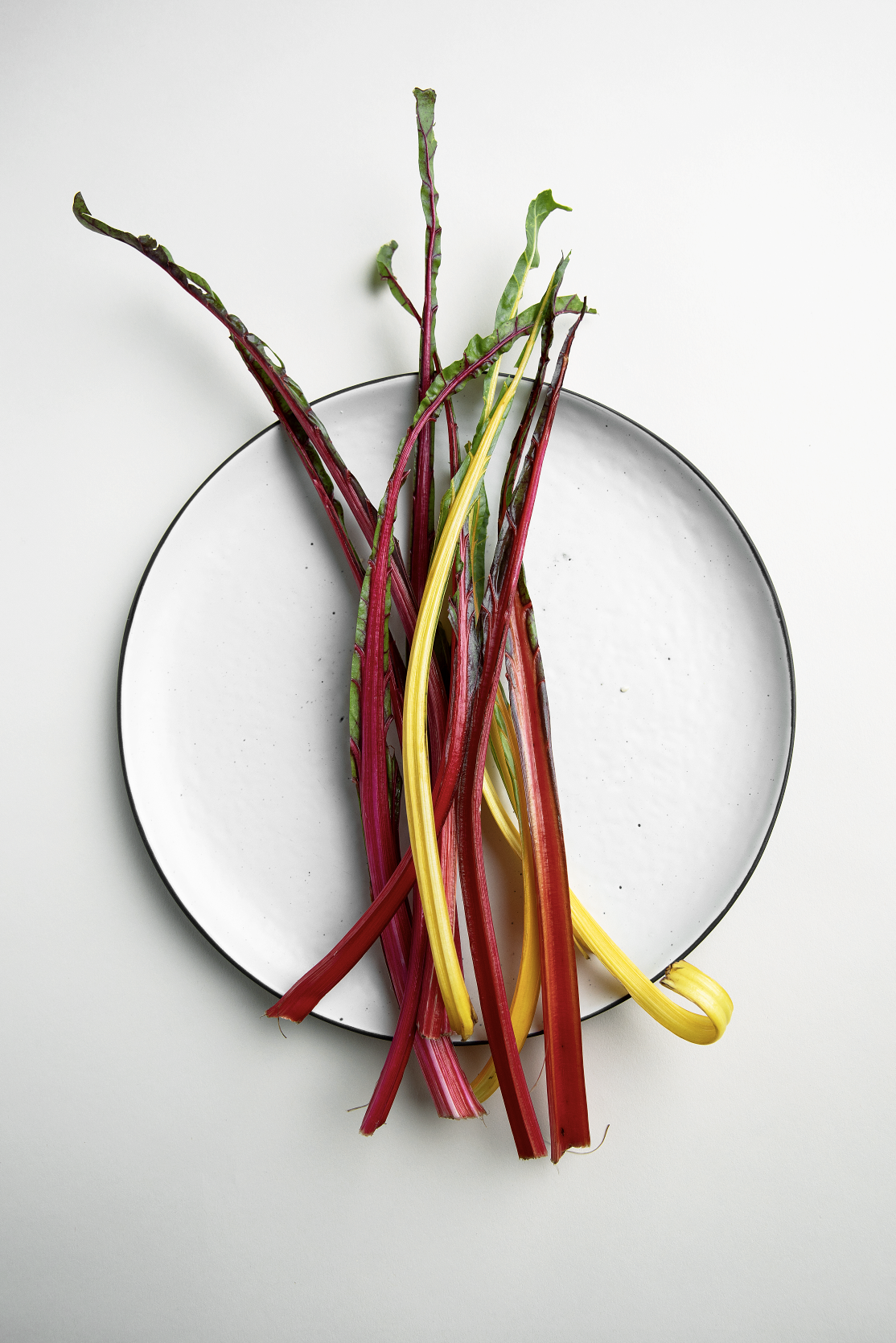 Creative Direction for Yummly