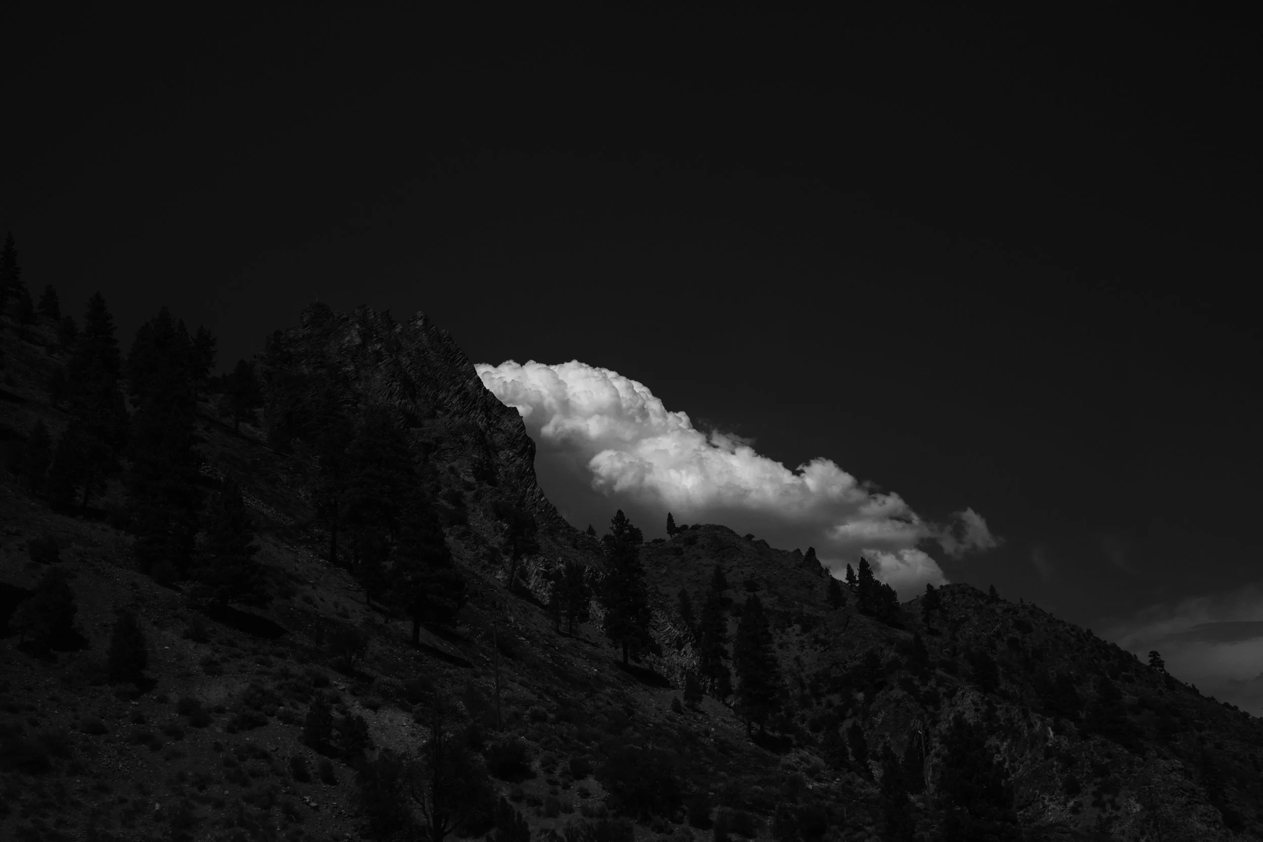 Lost Sierra (a personal project)