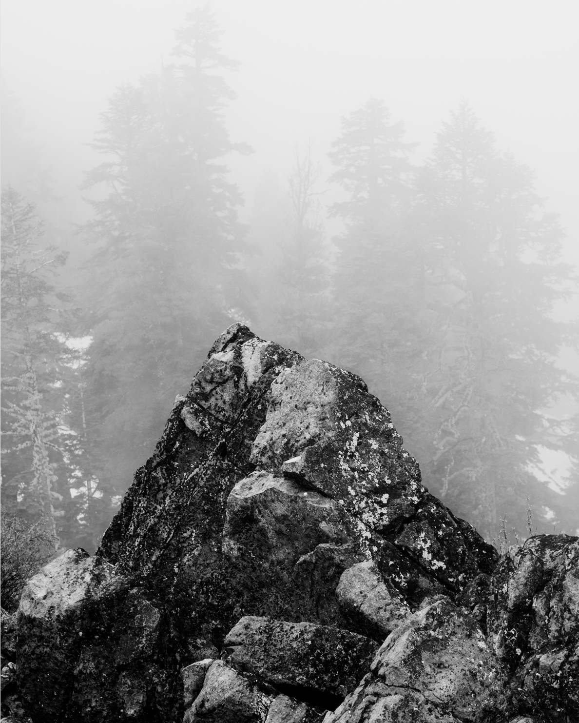 Lost Sierra (a personal project)