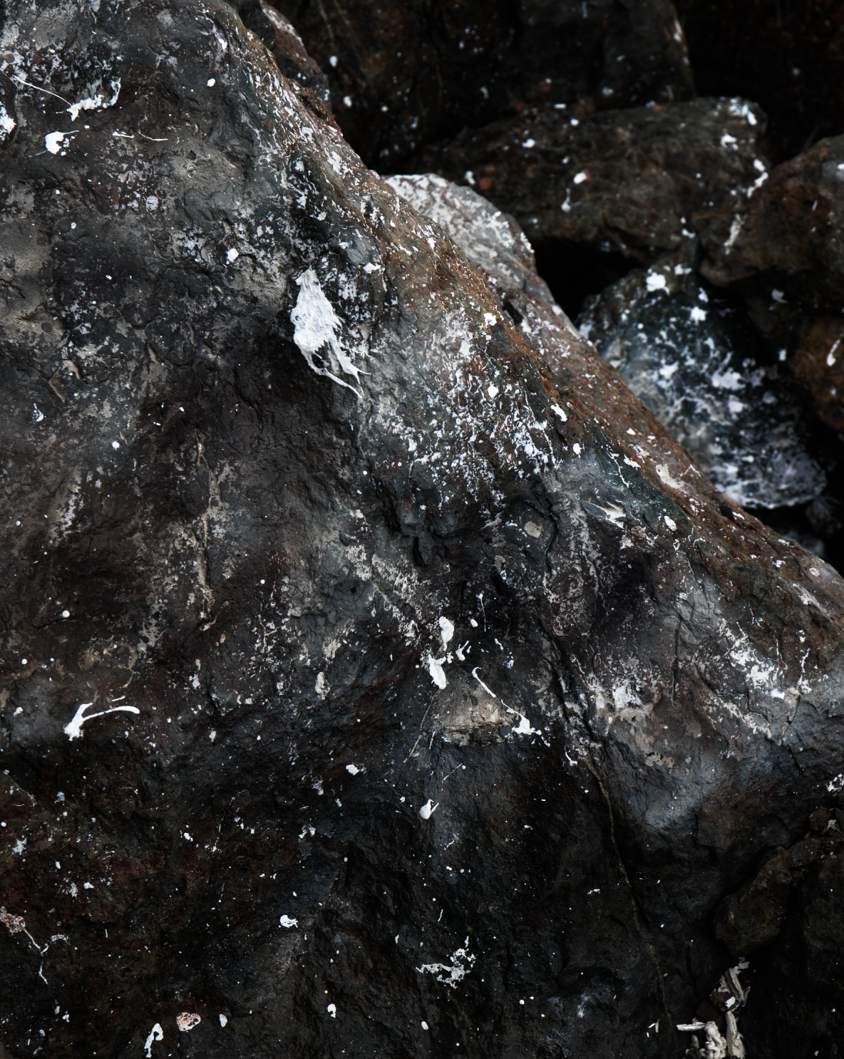 Lost Sierra (a personal project)