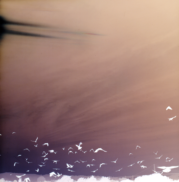 Screenshot+2025-12-13+at+2-1.05.47 PM.png.webp