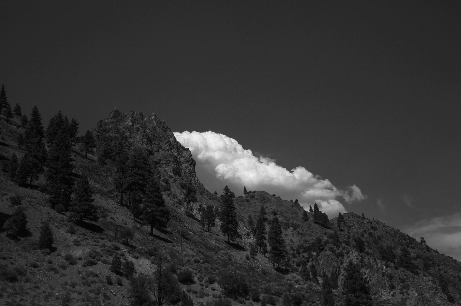 Screenshot 2026-04-01 at 8.49.29 PM.png