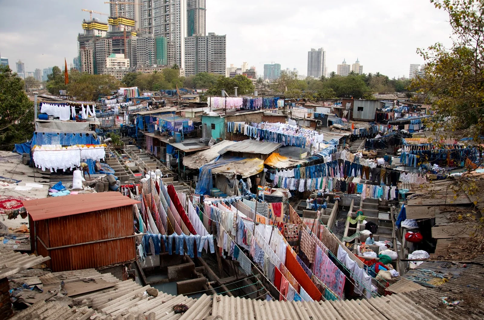 Image: Bombay Jules