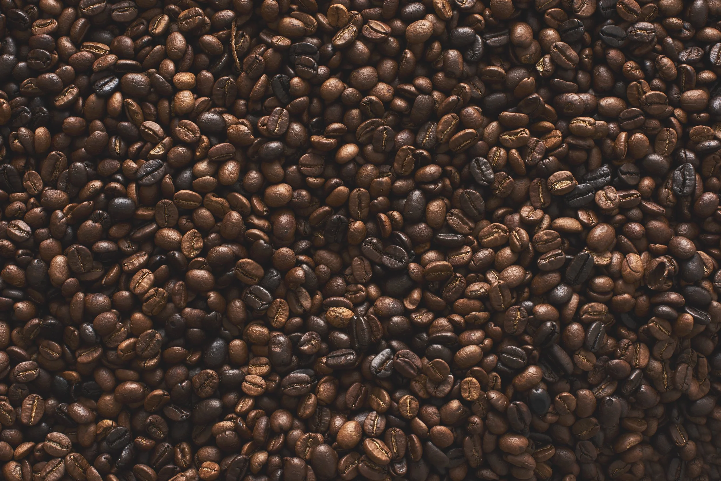 Downtown Coffee_23180.jpg