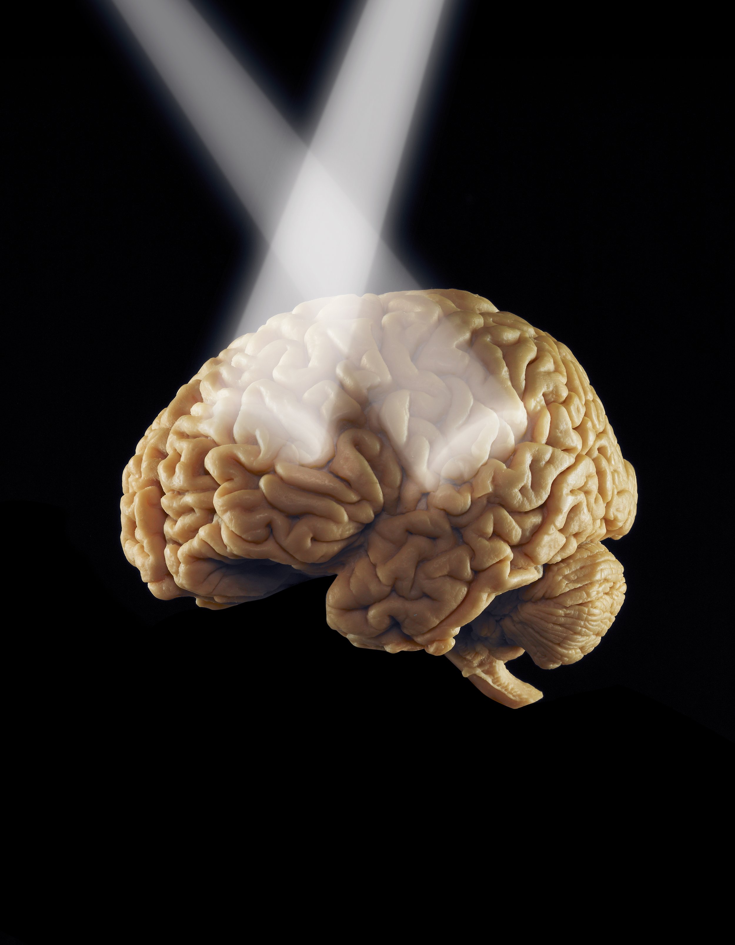 movie spotlights v2.jpg