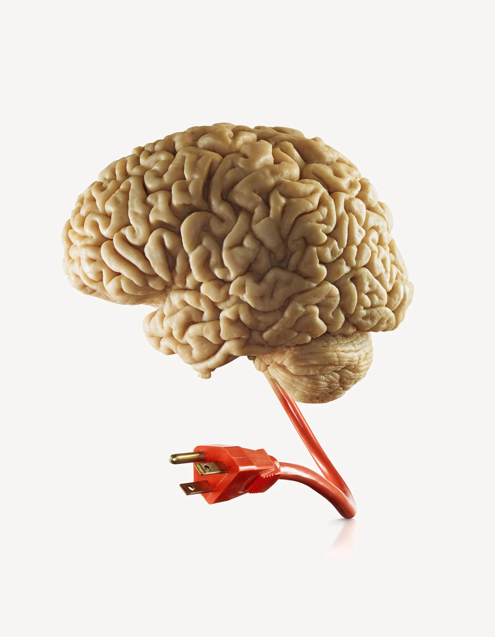 skull w- cord 6 v2.jpg