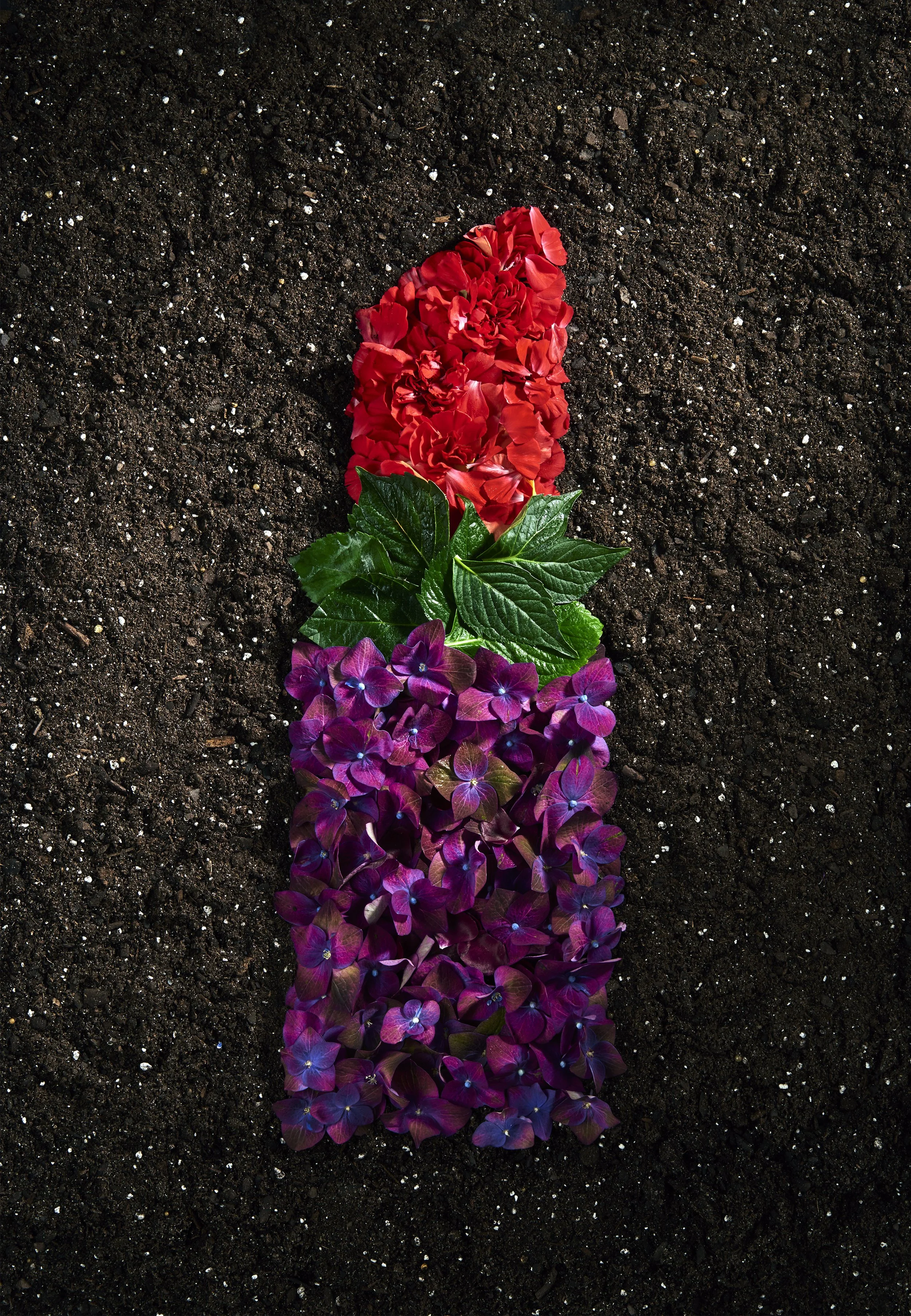 Beauty Inc 2 v1b v3.jpg