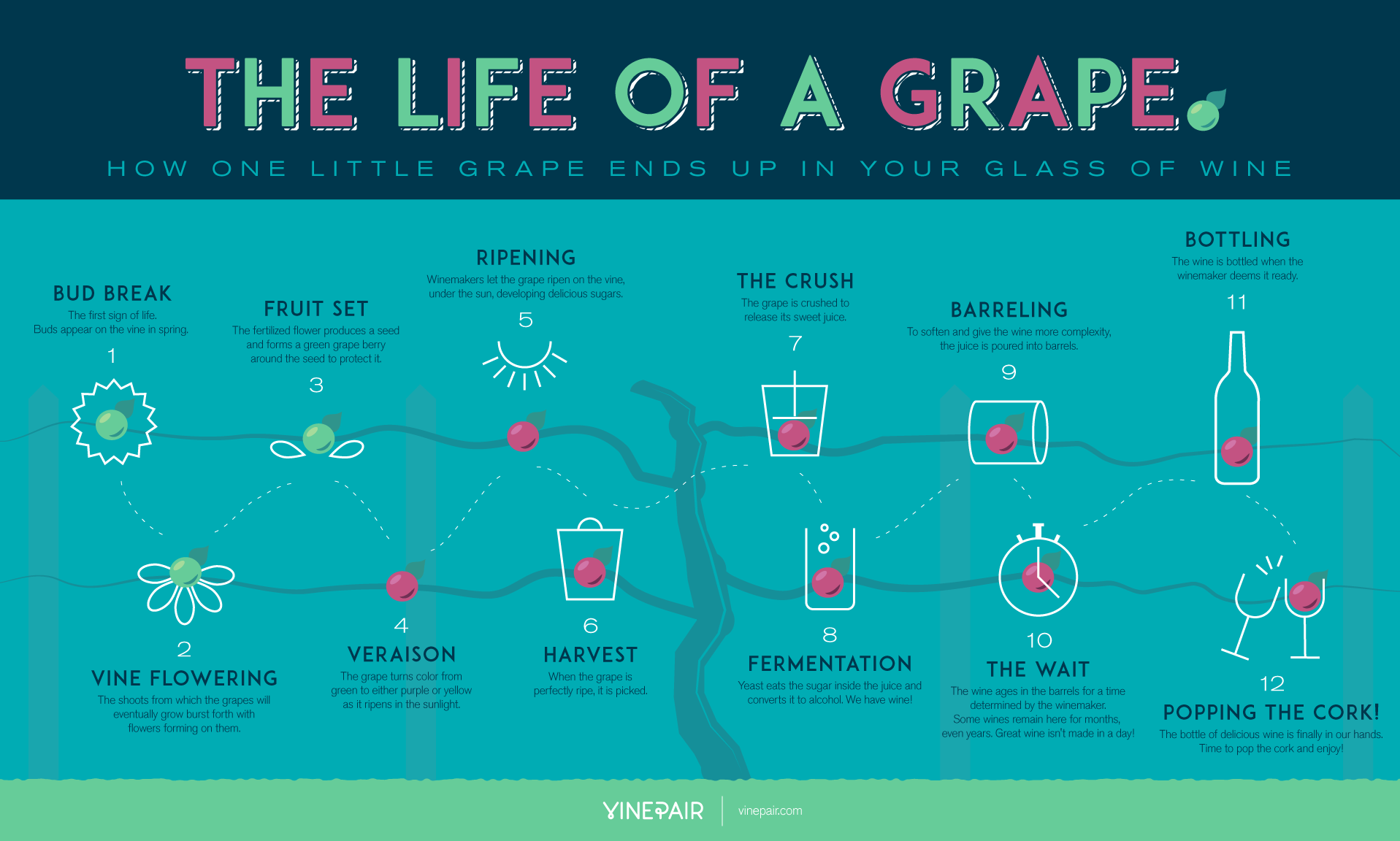 Click to Enlarge. Image via the Vinepair.