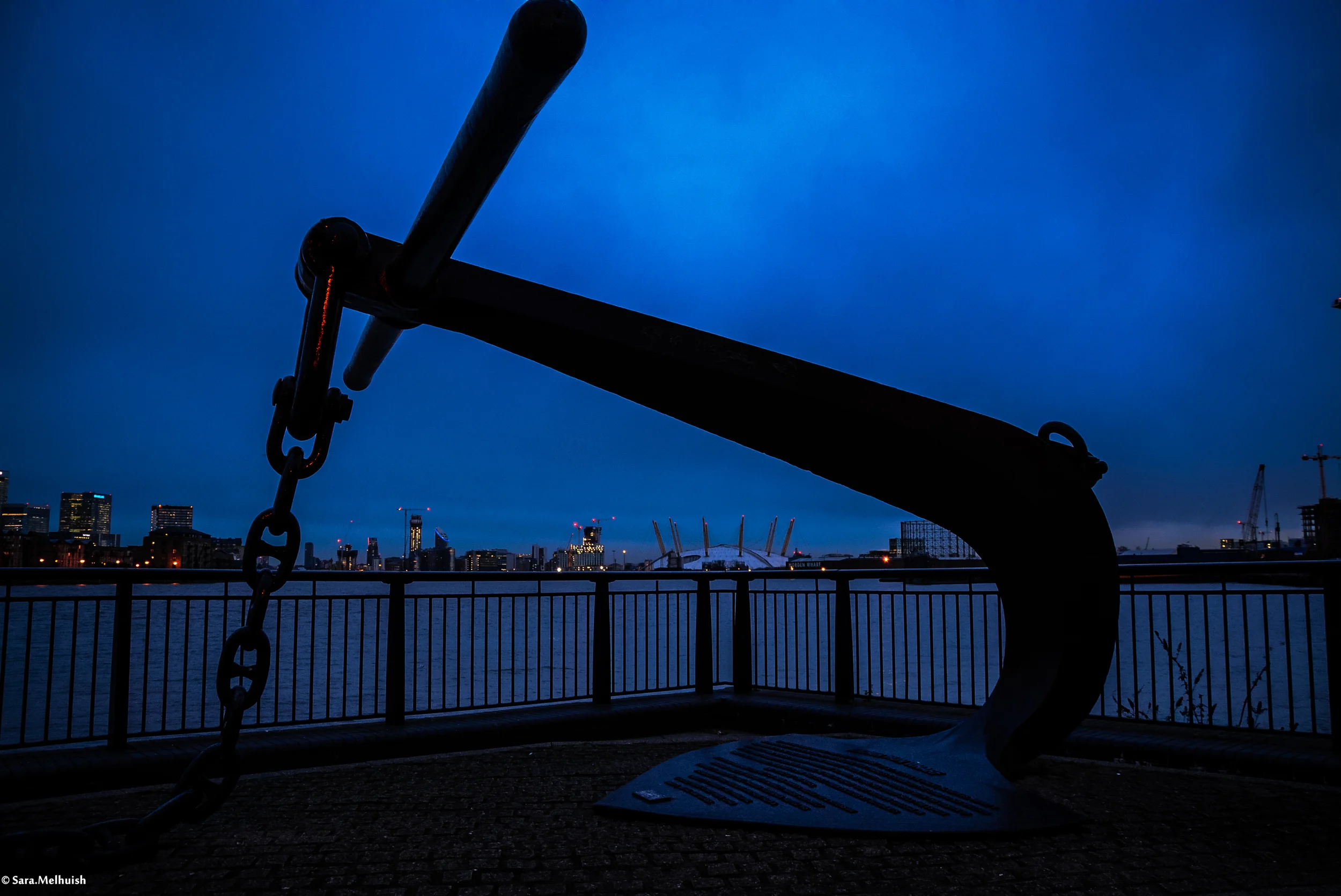DSC_2217-2.jpg