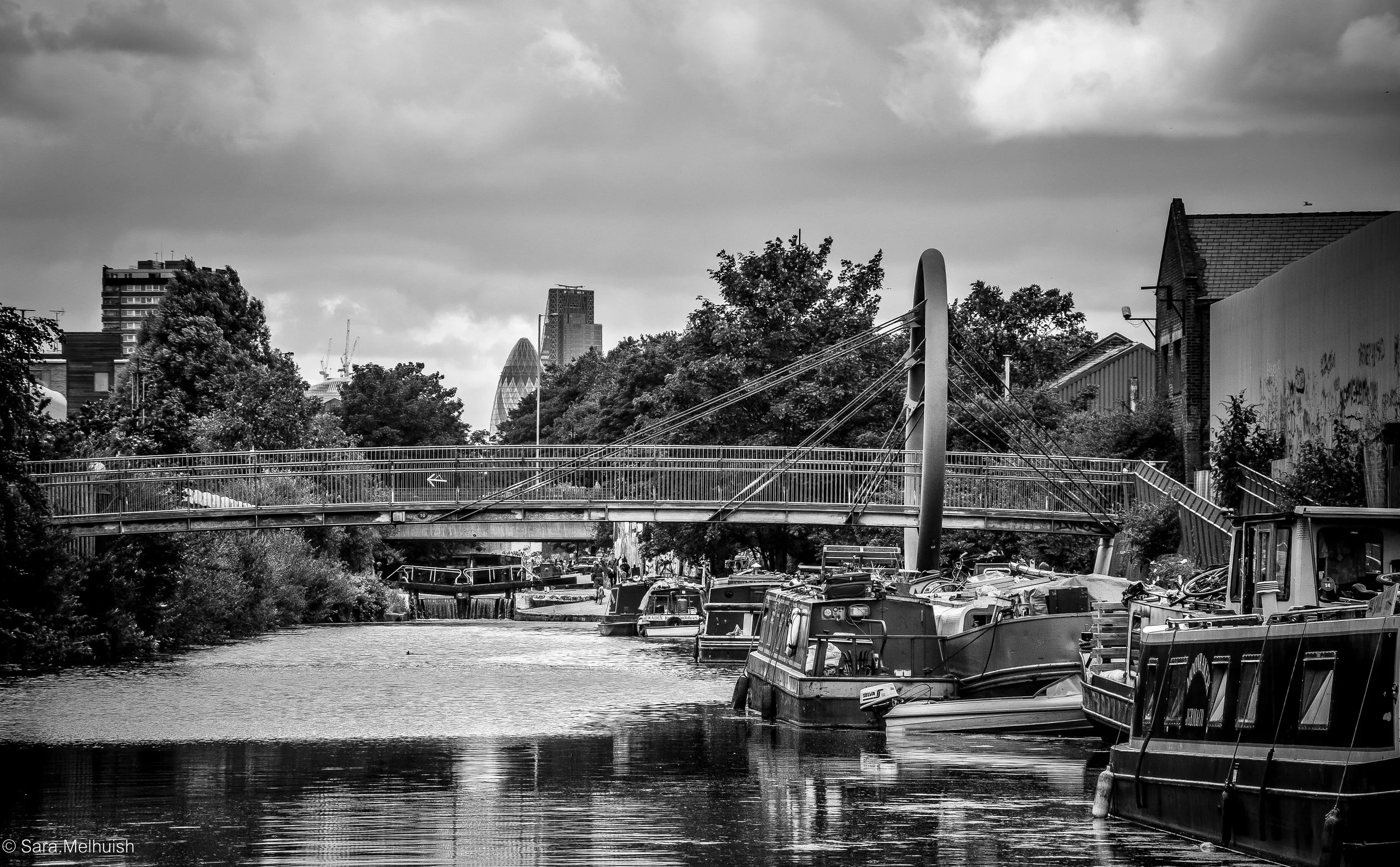 DSC_0676-3.jpg