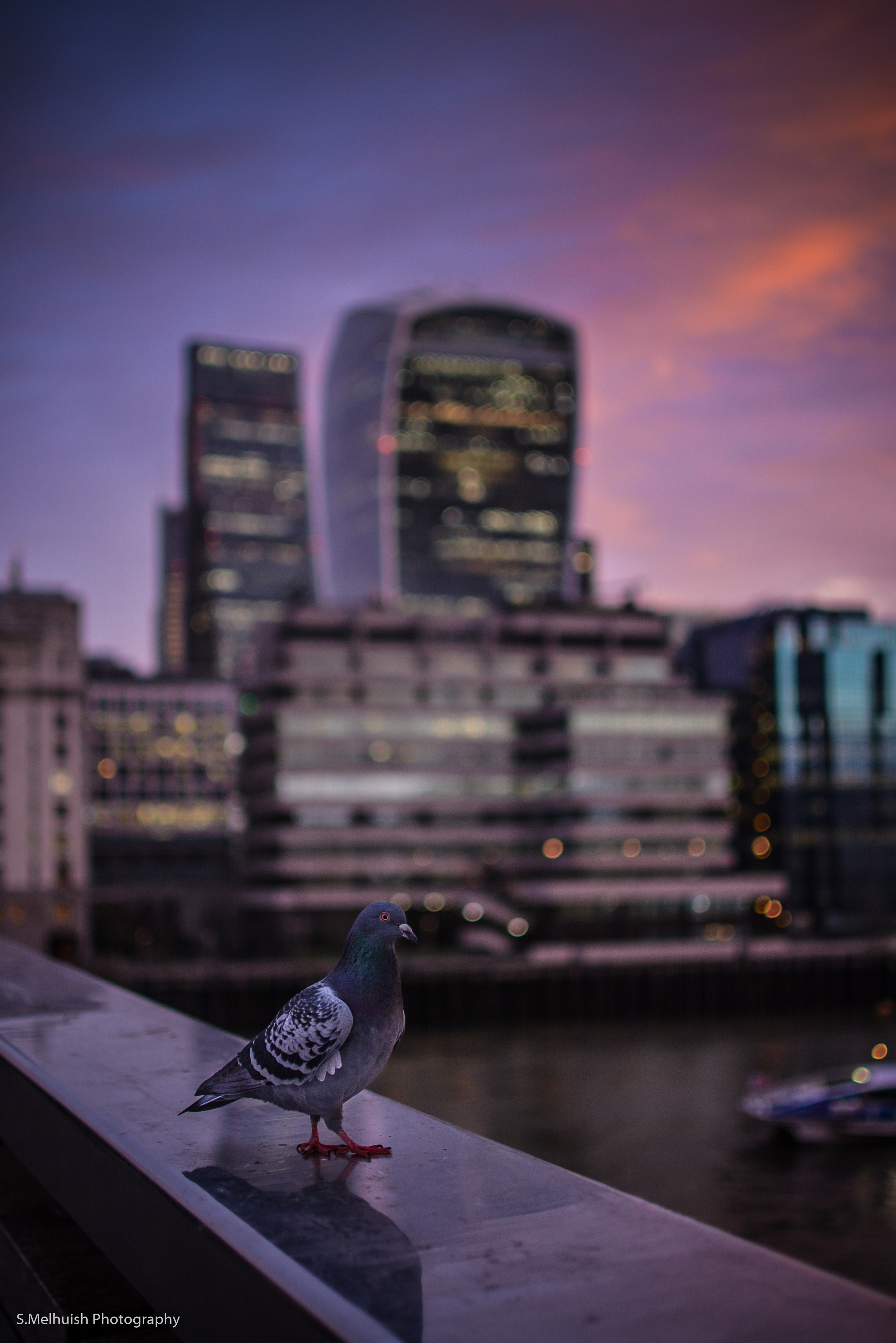 photobombed at London Bridge