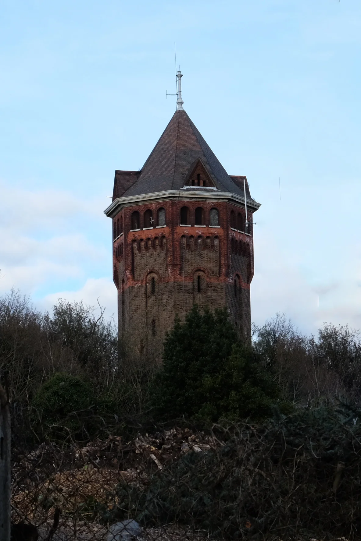DSCF1084.jpg