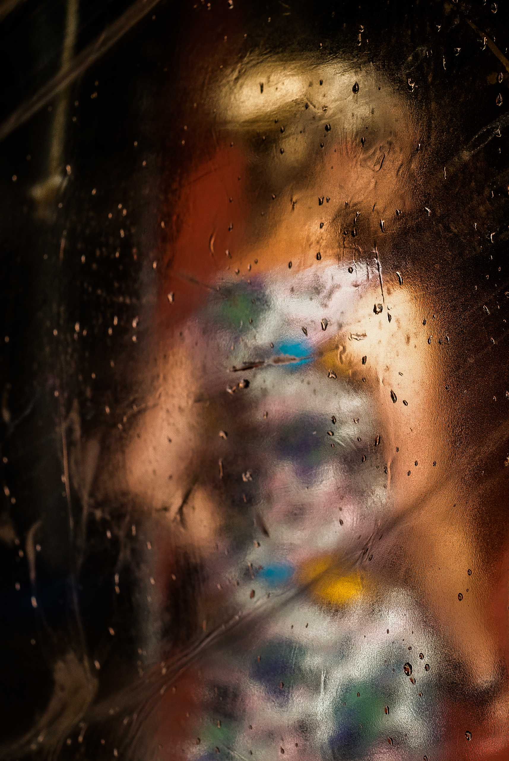 DSCF4890.jpg