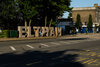 DSCF8360.jpg