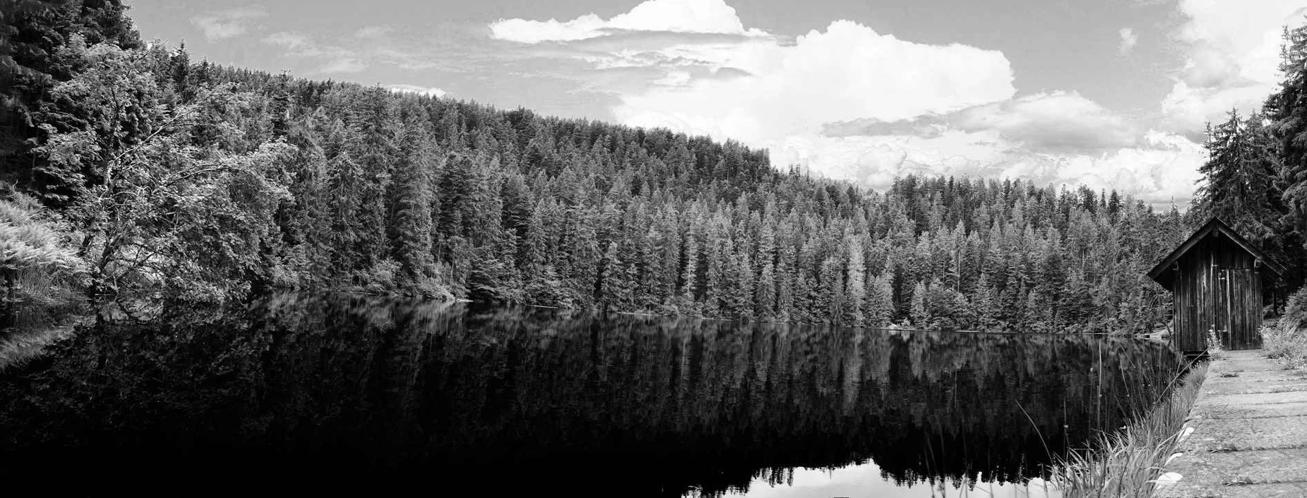 _glaswaldsee-pano.jpg