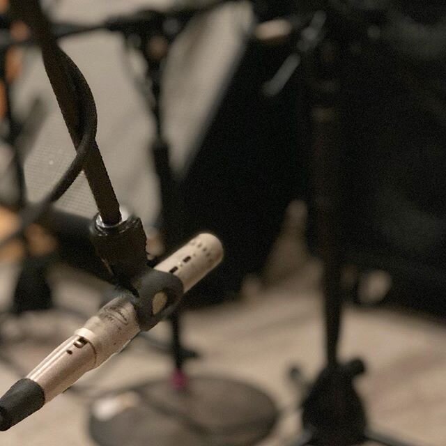 We love the @pelusomicrophonelab CMEC mics with interchangeable capsules. Utilizing the Omni capsule  for bass room mic. ❤️. #peluso #bassguitar