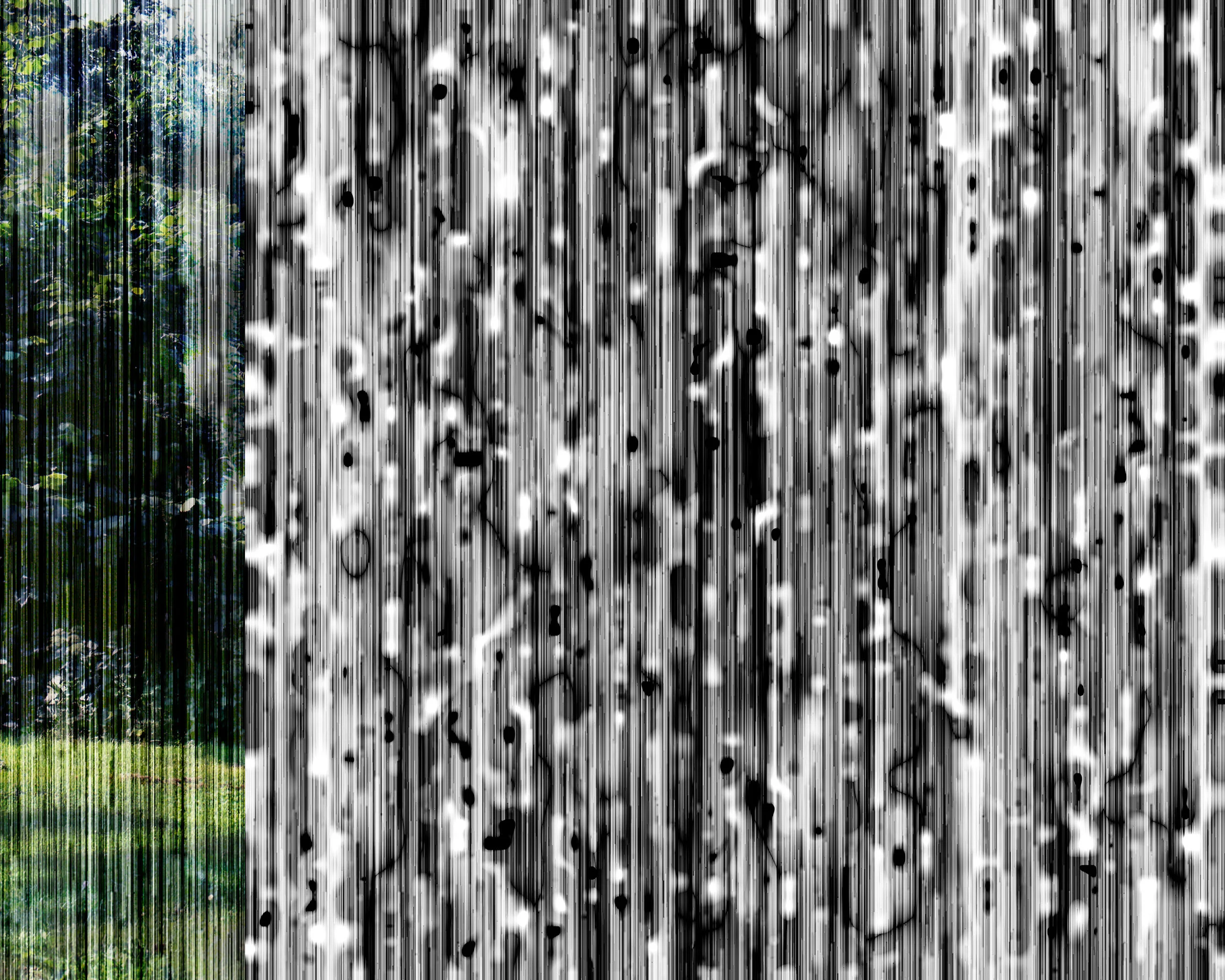 its you - b4rxf05 - j=42.jpg