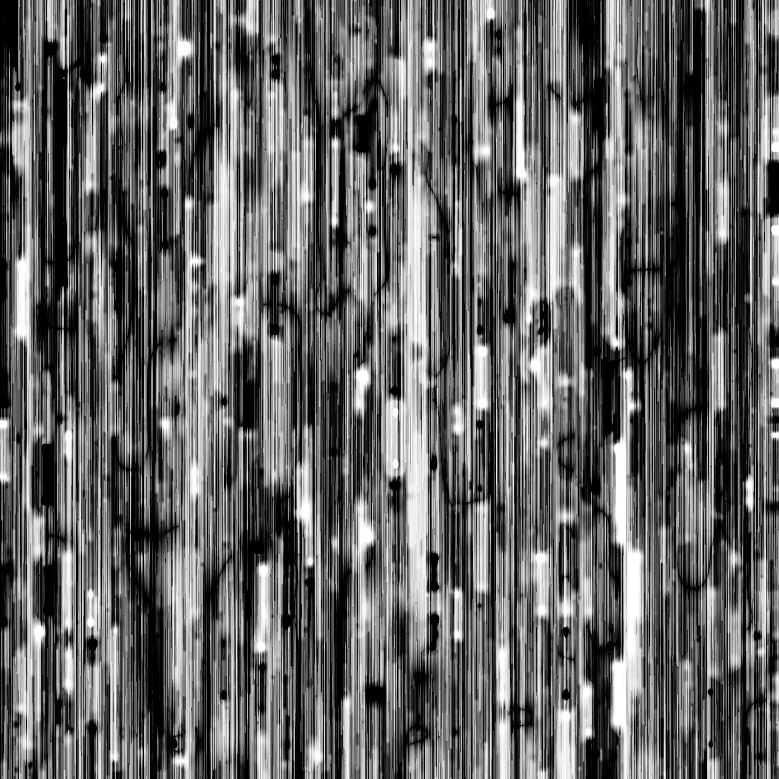 out-test - ds j=39.jpg