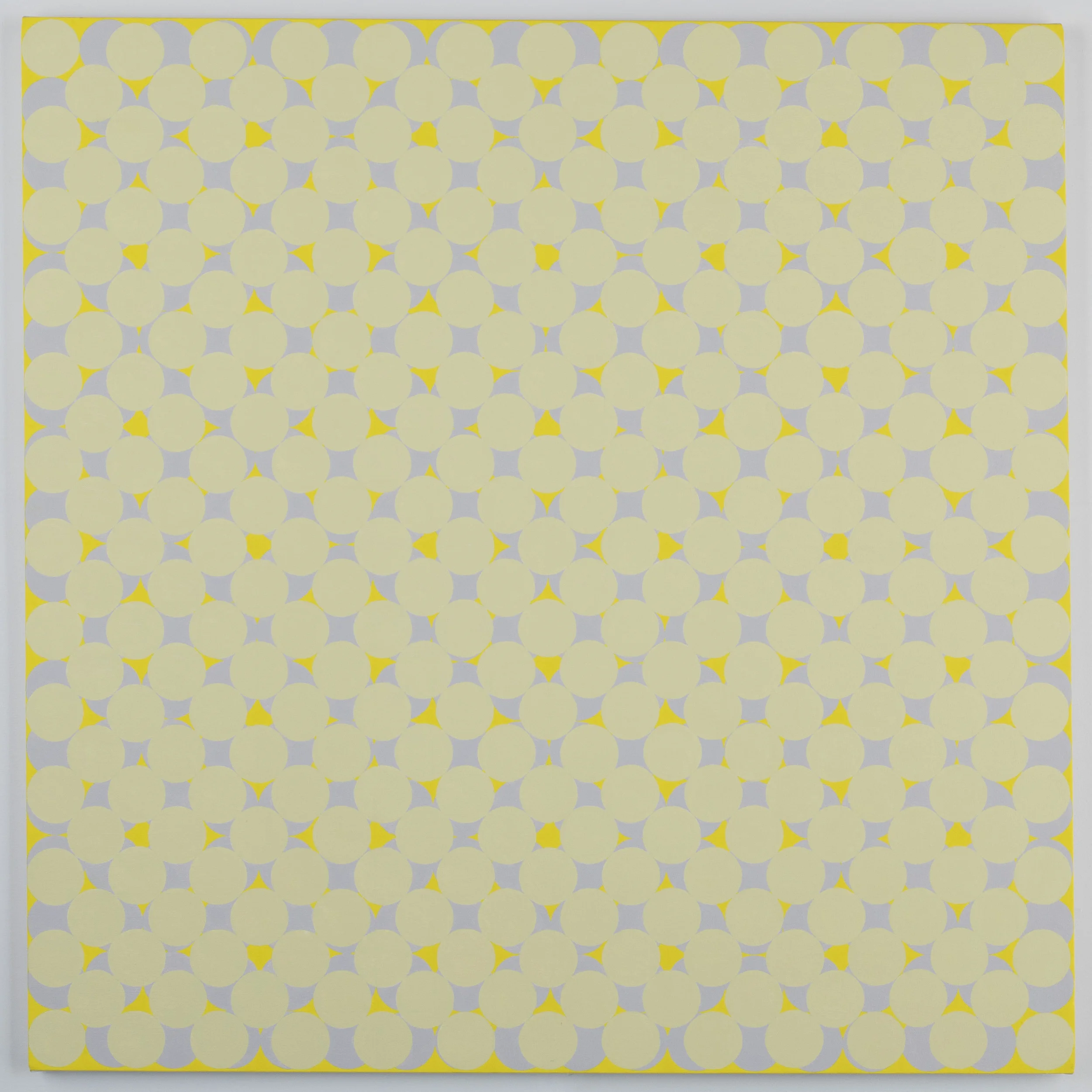   Echinacea Paradoxa , 2016.  36 x 36 inches, oil on canvas   Private Collection  