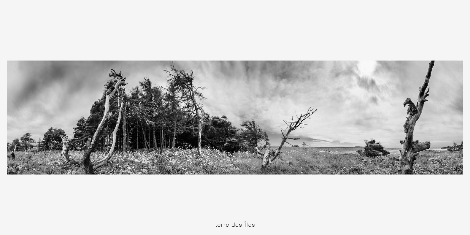 02_terre des îles © robin simard.jpg