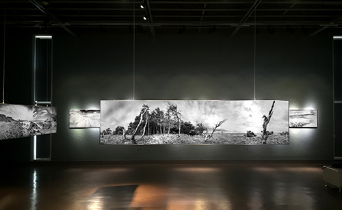 Mise en espace. Exposition au Musée de la Mer , du 26 juin au 20 novembre 2016 Project catalog 17 B&W photographs 84 inch x 21 inch (213,3cm x 53,3cm) Made on stainless steel plates. Title of photographs On a marché sur les îles, Terre des îles, Origine, Mouvement en sable majeur, Dichotomie, Genèse, Les dents de la mer, Inspiration, Connexion, Le nord, Le vent est un artiste, La marche des temps, Par hasard, Zone, Les gardiens, Définitude, Le rendez-vous. Original photographs on stainless steel presented at the museum Limited edition 5 by size. Art prints "giclee print" Limited edition 5 by print size. Art book Special edition personalized at the Museum of the Sea, printed on art paper without acid quality archive. Open edition Decorative: Acrylic Blocks Open edition
