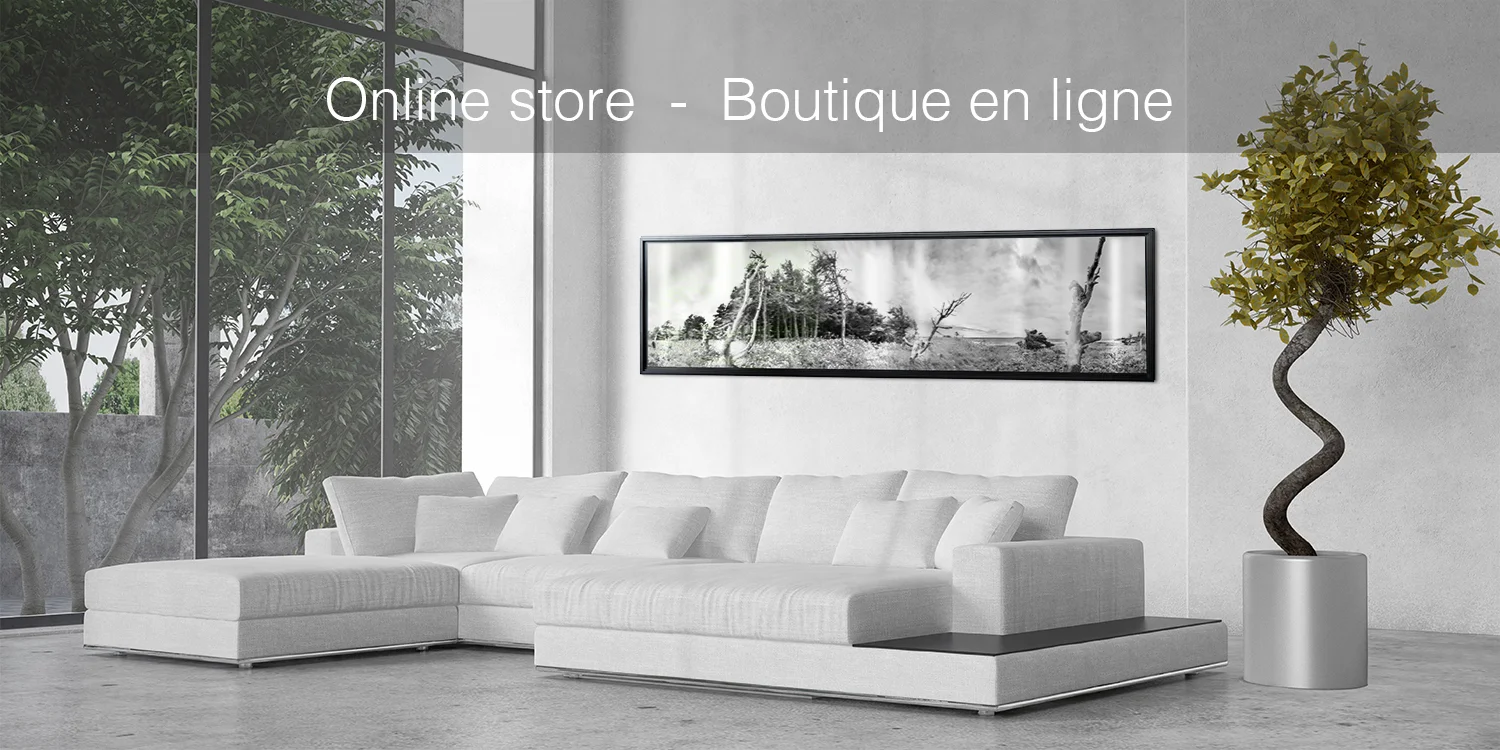 header online store boutique en ligne_small.jpg