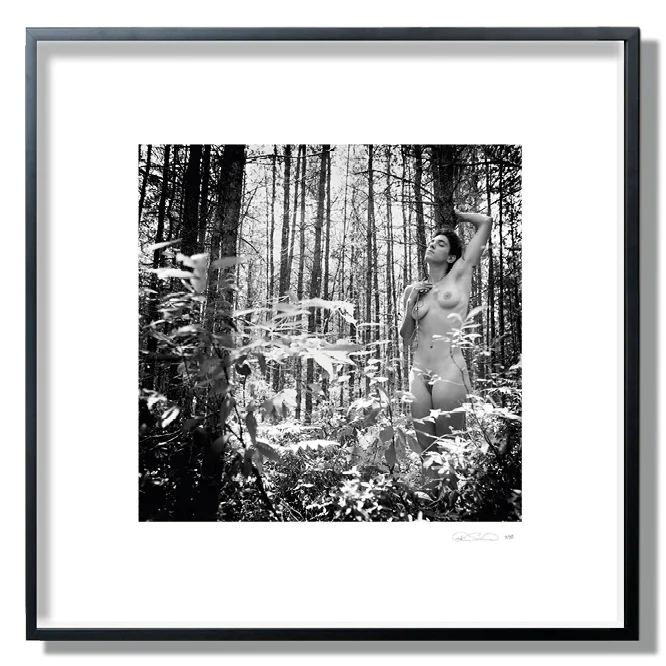 © robin simard titre Elf