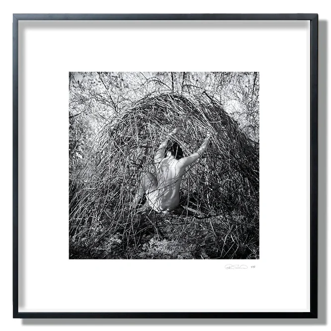 © robin simard titre_scheme.jpg