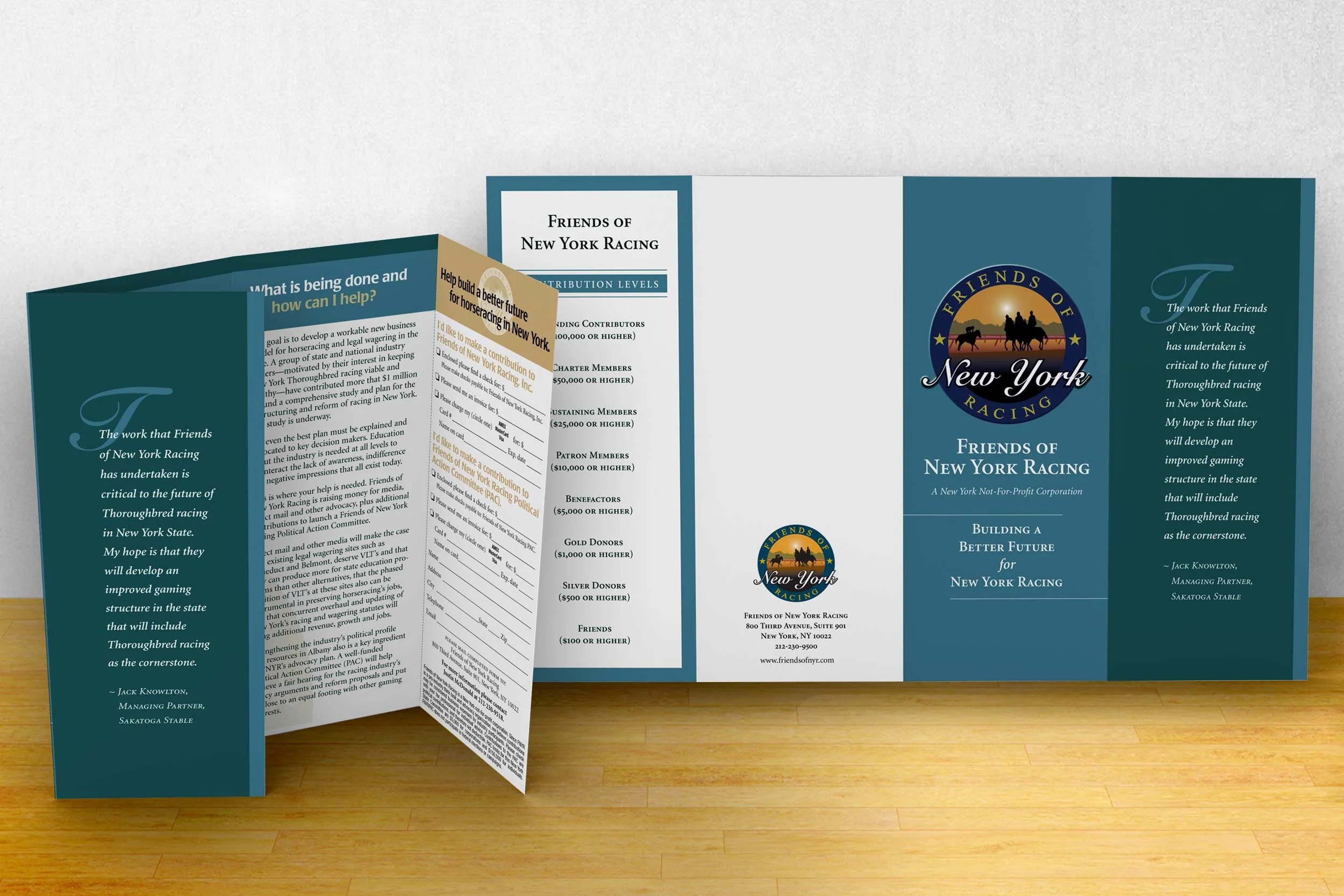 Fund-raiser Brochure, 14” x 8.5” gatefold