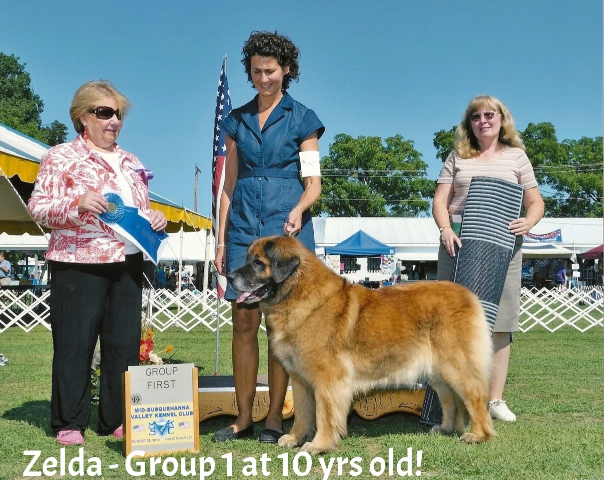 Zelda 1st Group First.jpeg