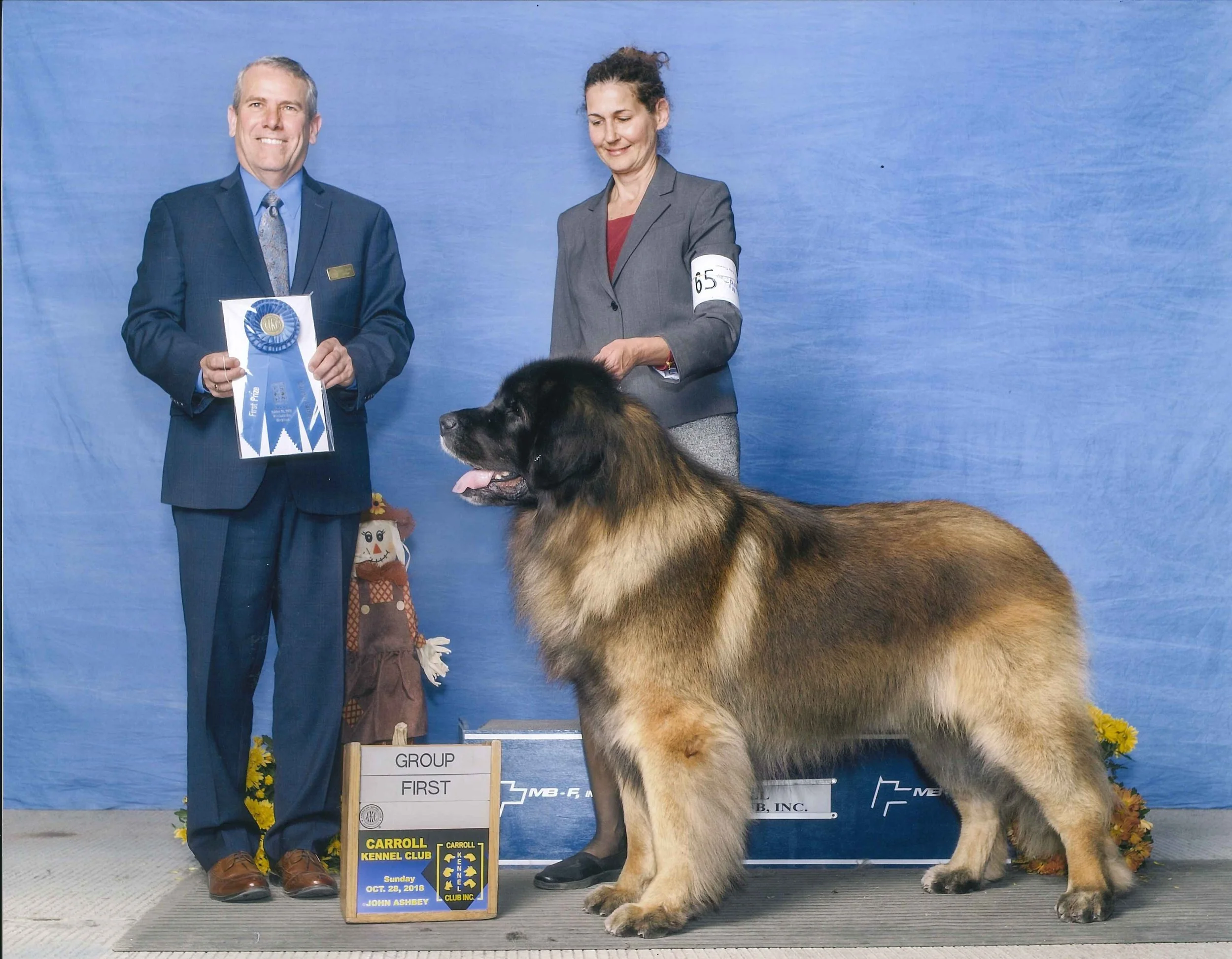 hill's science diet adult sensitive stomach & skin dry dog food