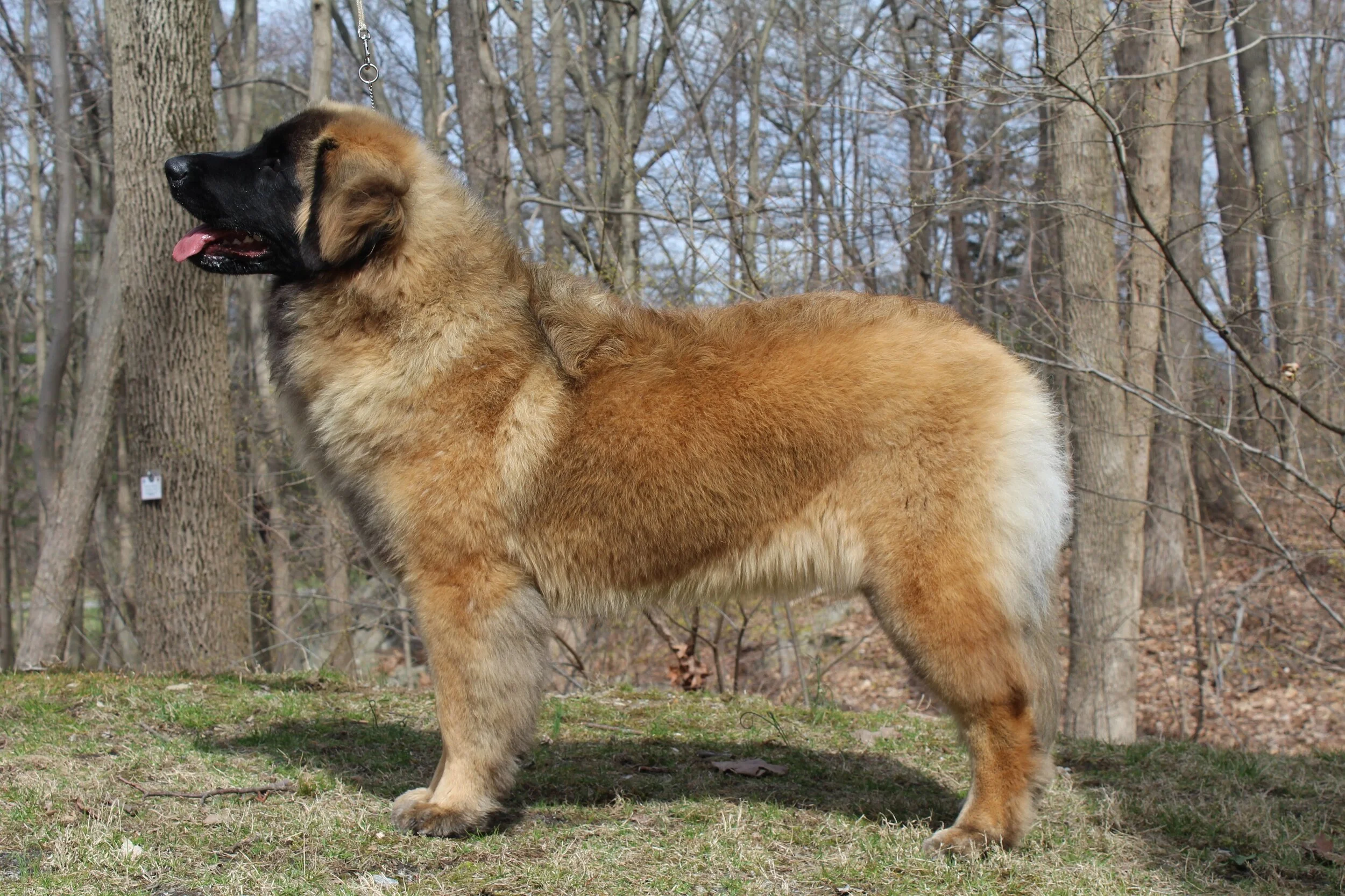 10 mos