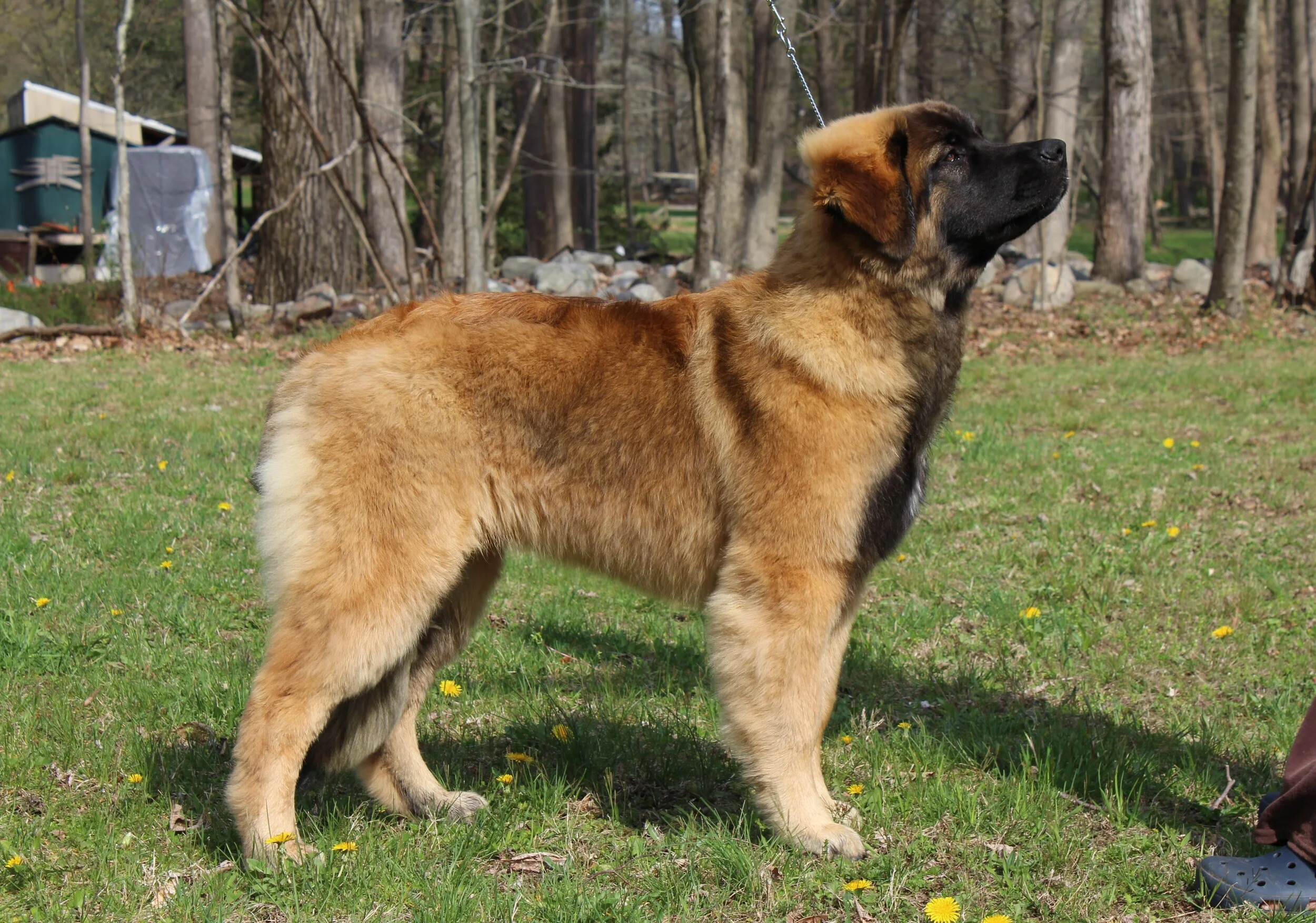 6 mos