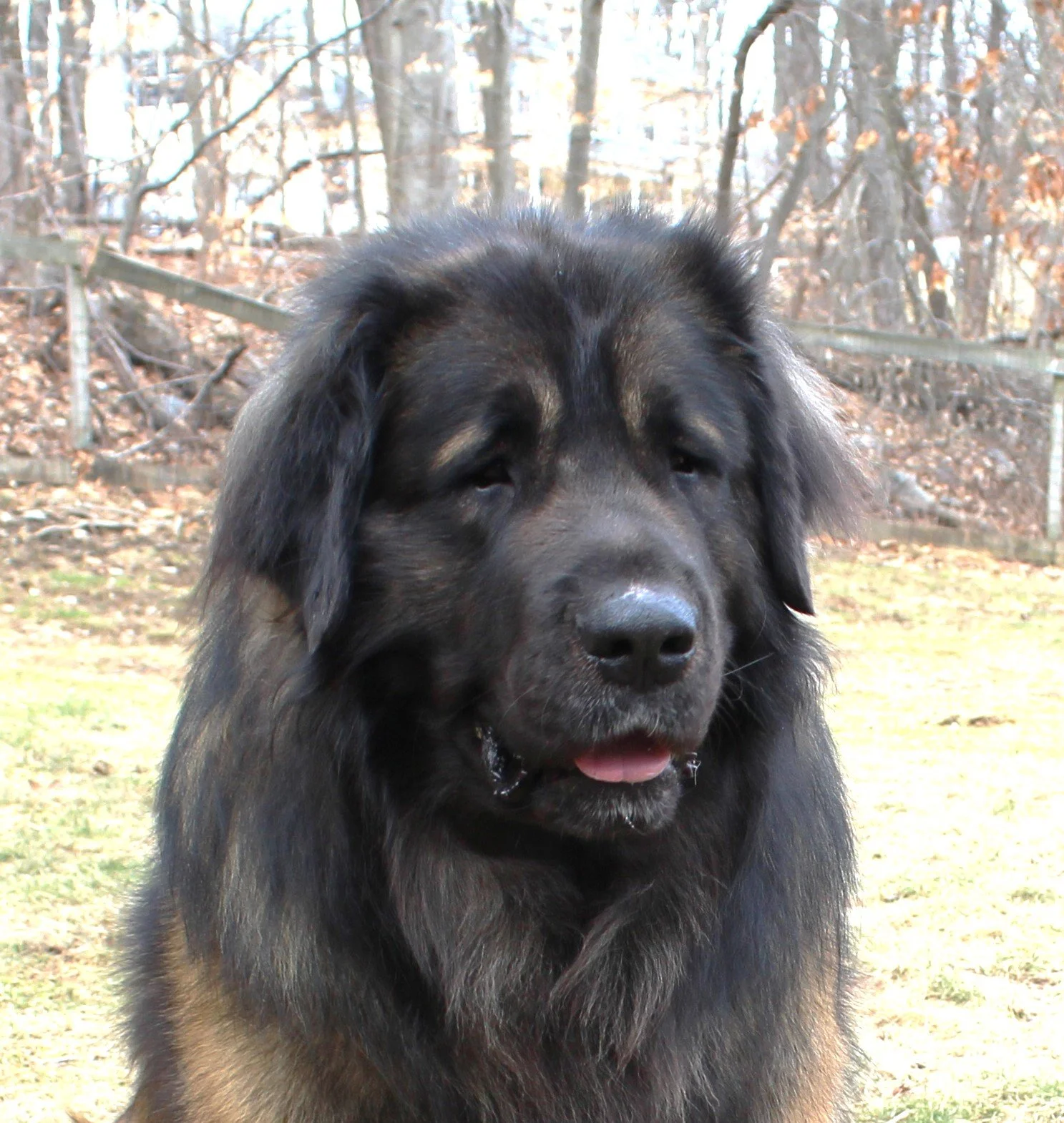 IMG_8466 - Copy-Shay.JPG