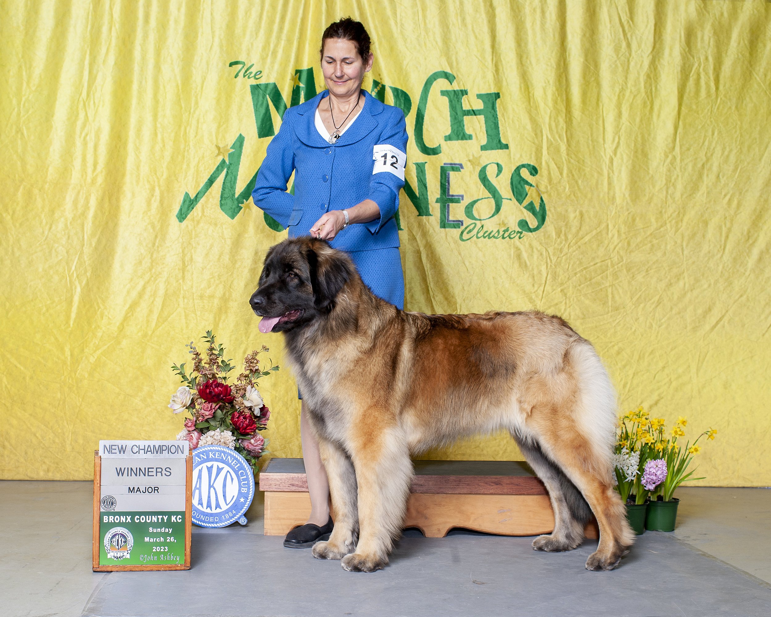 18 mos - new Champion