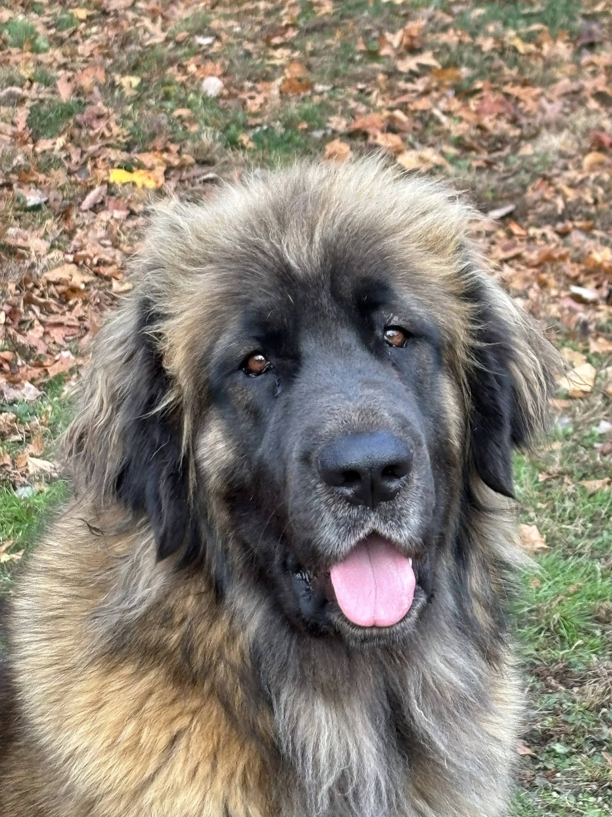 22 mos