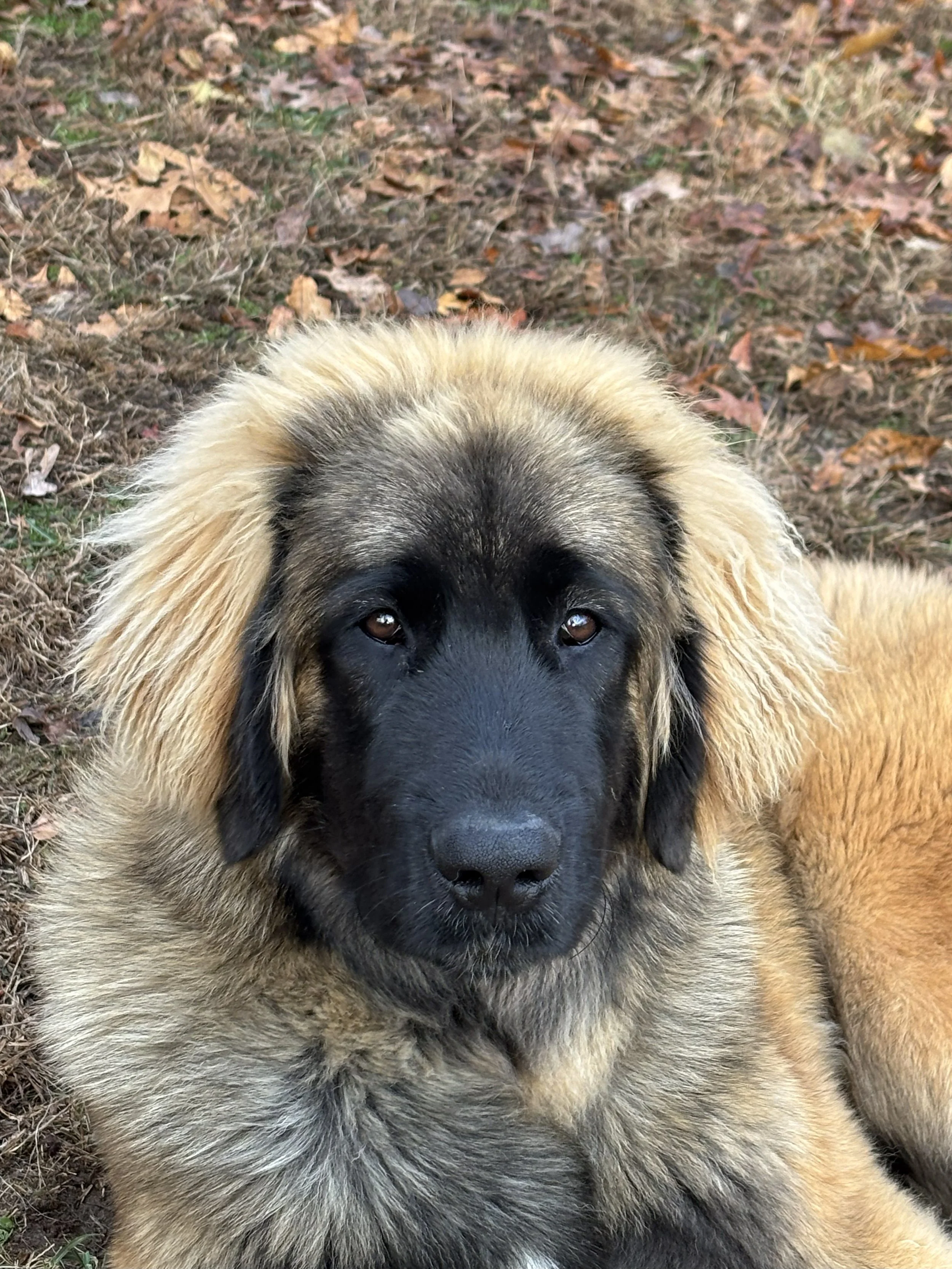 6.75 mos