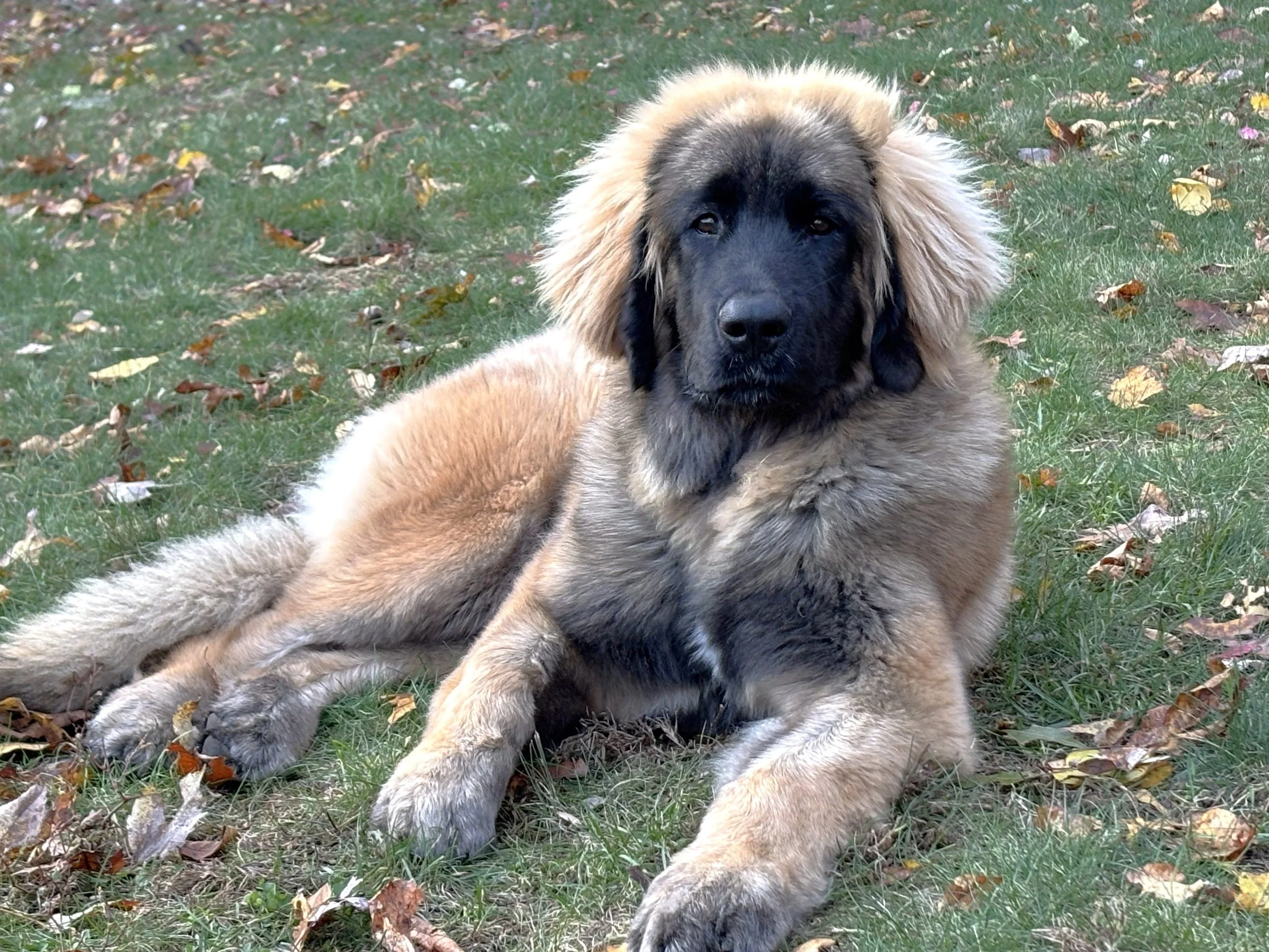 6 mos
