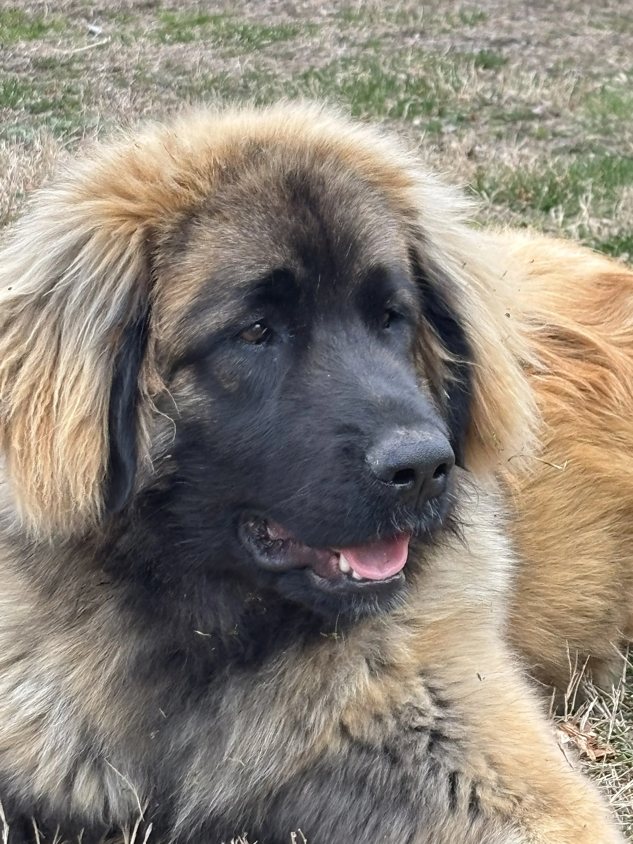 11 mos