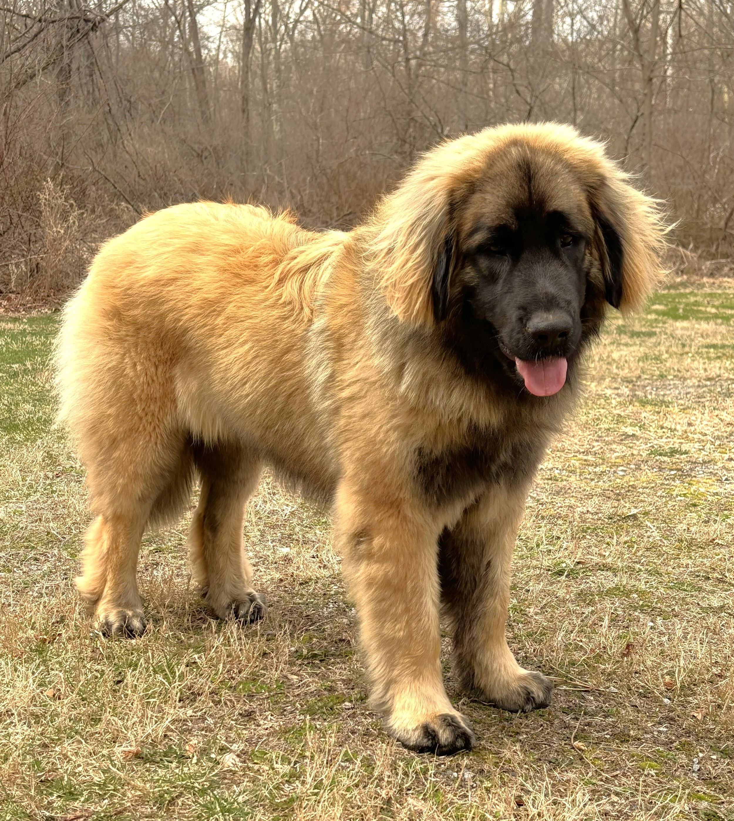 11 mos