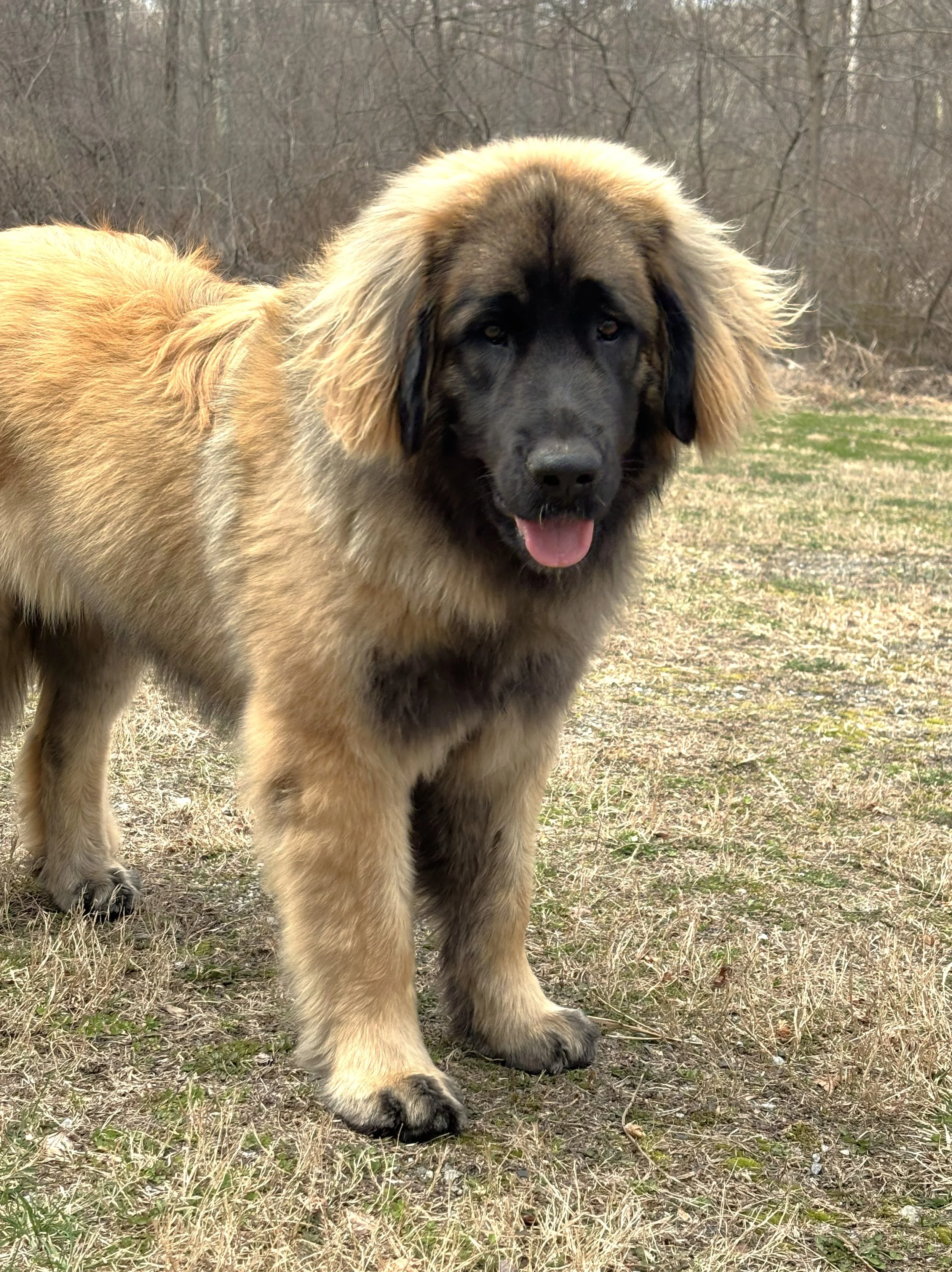 11 mos