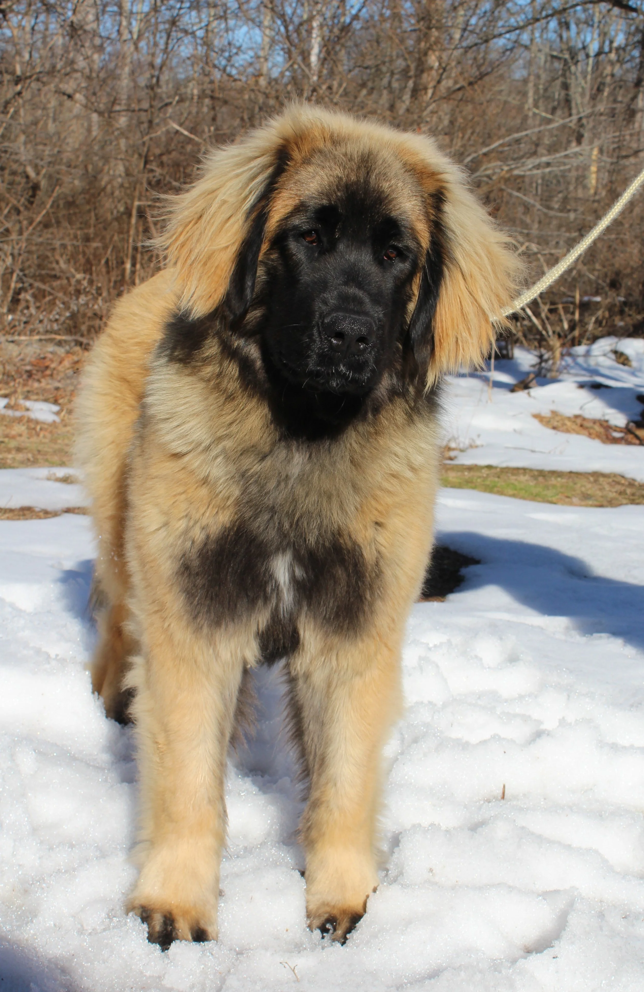 10 mos