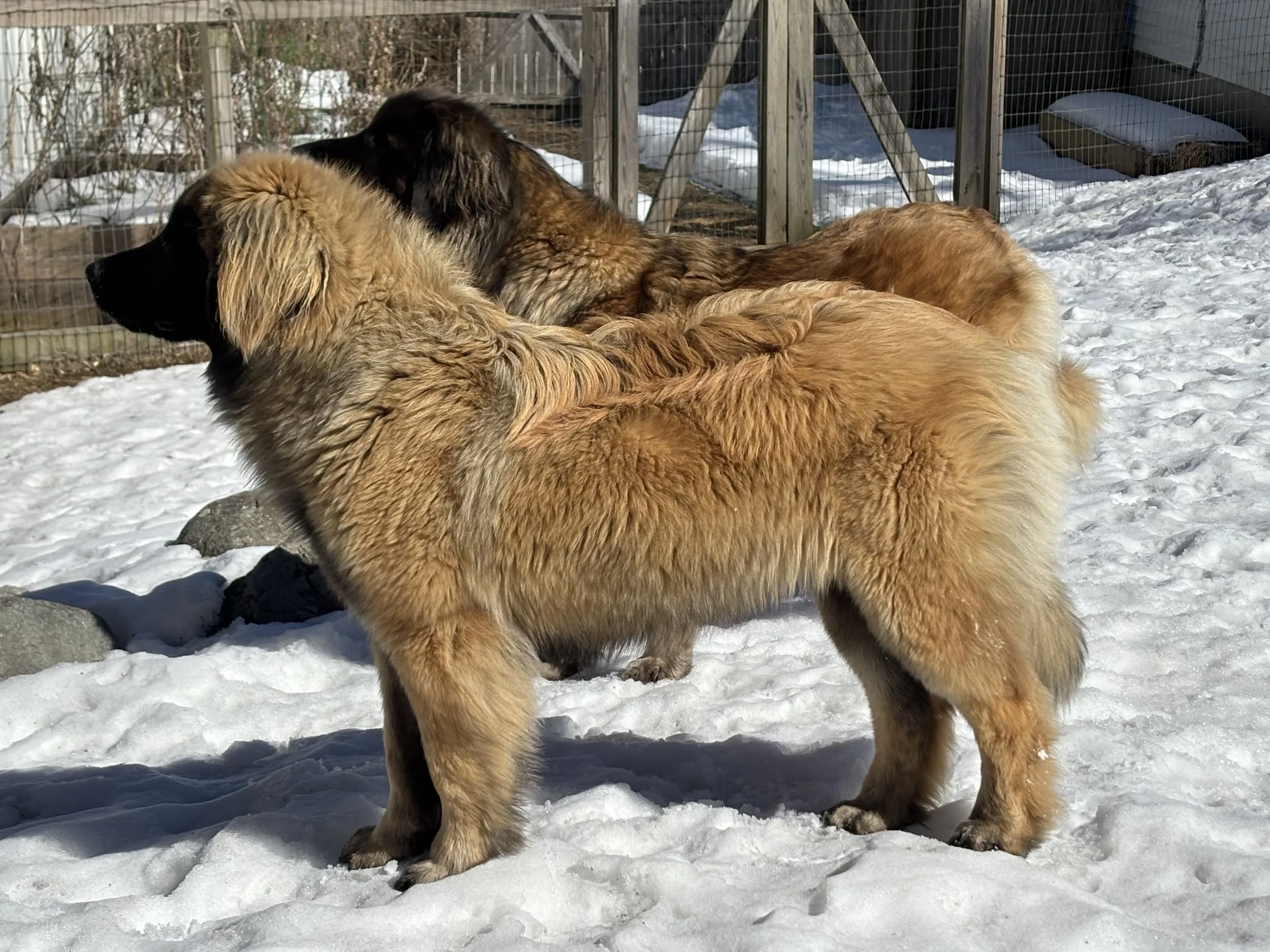10 mos