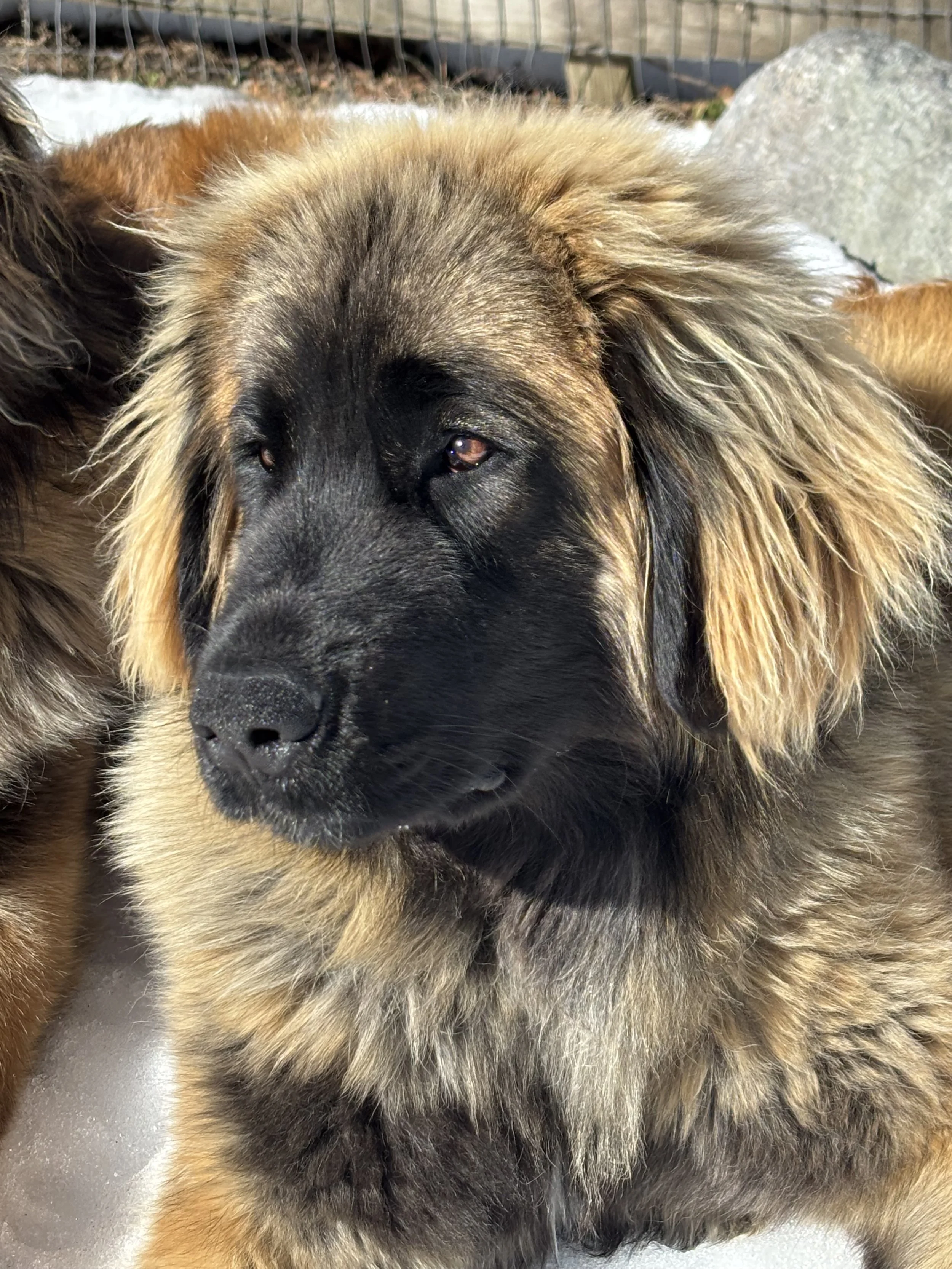 10 mos