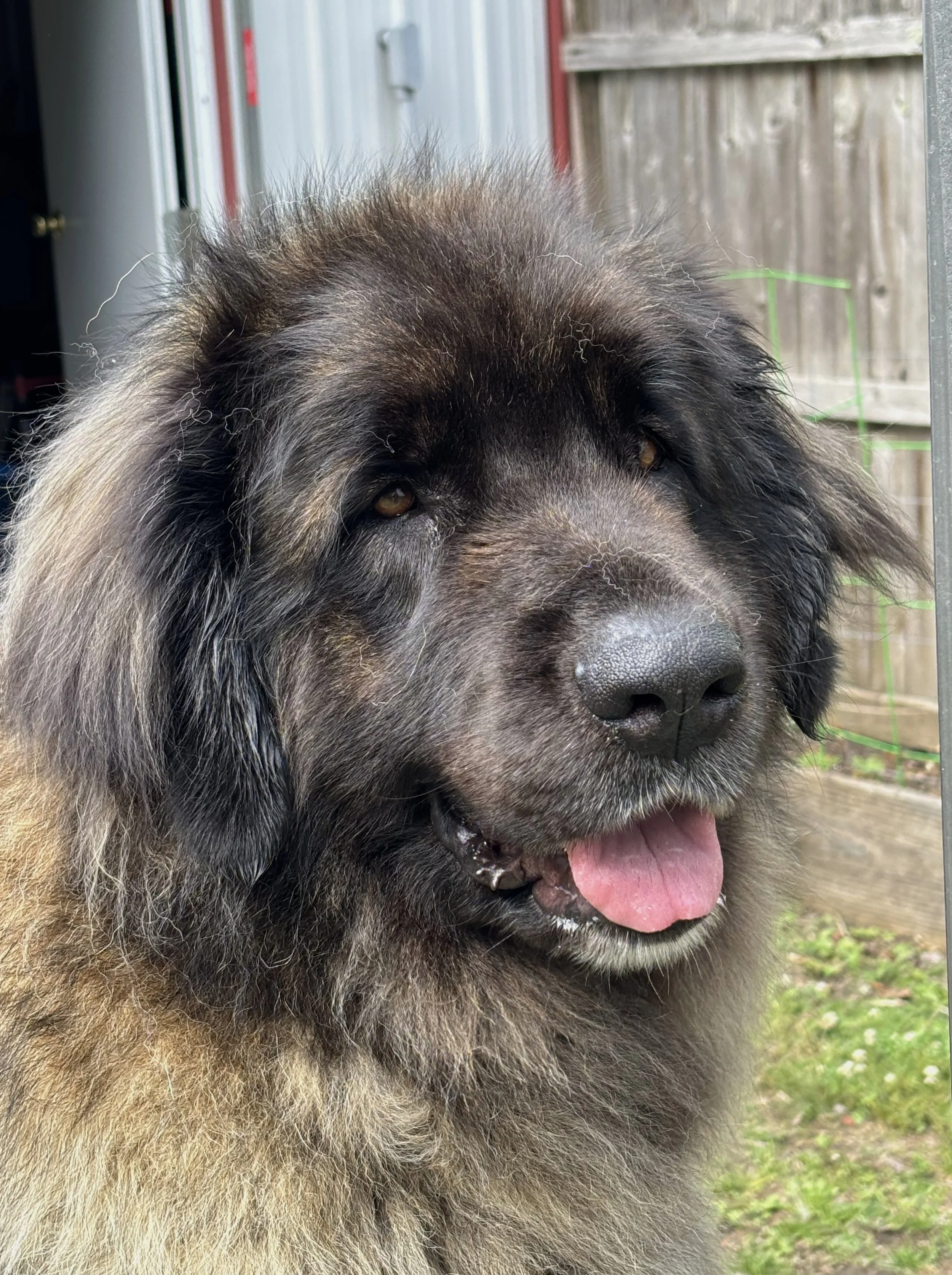 4 yrs 8 mos